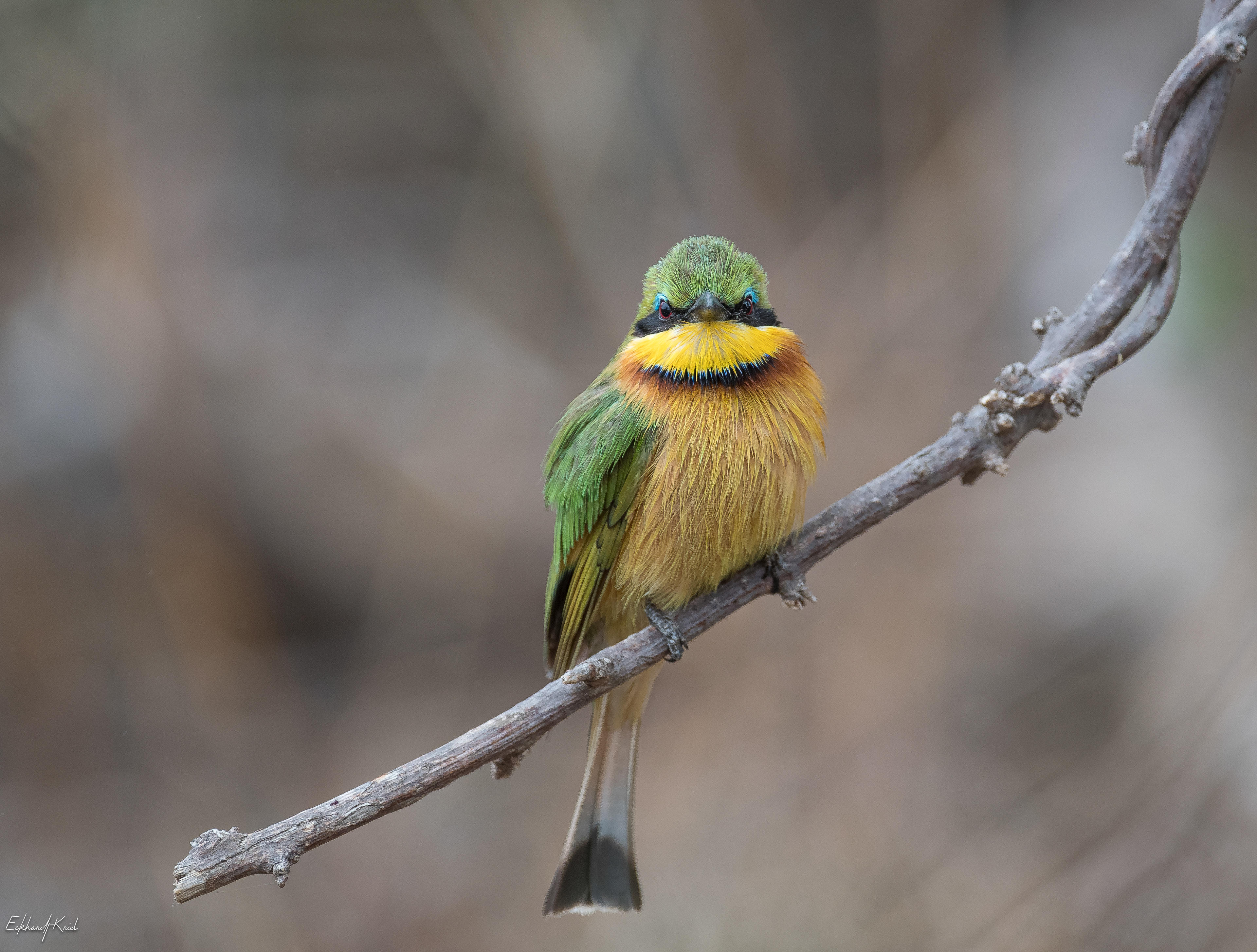 Kruger National Park