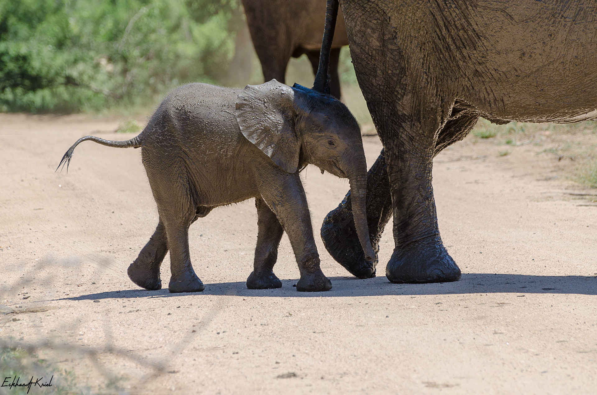Kruger National Park