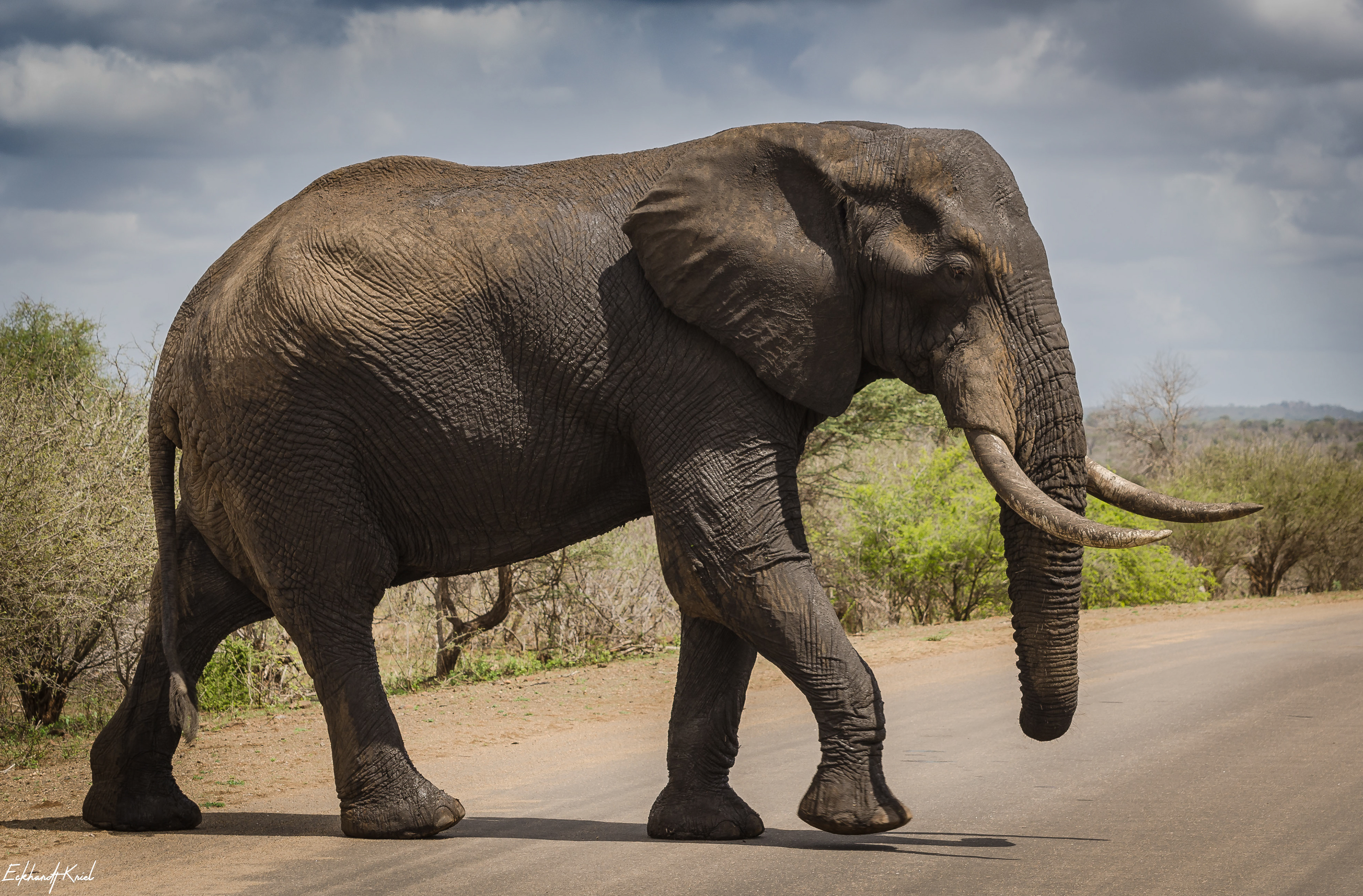 Kruger National Park