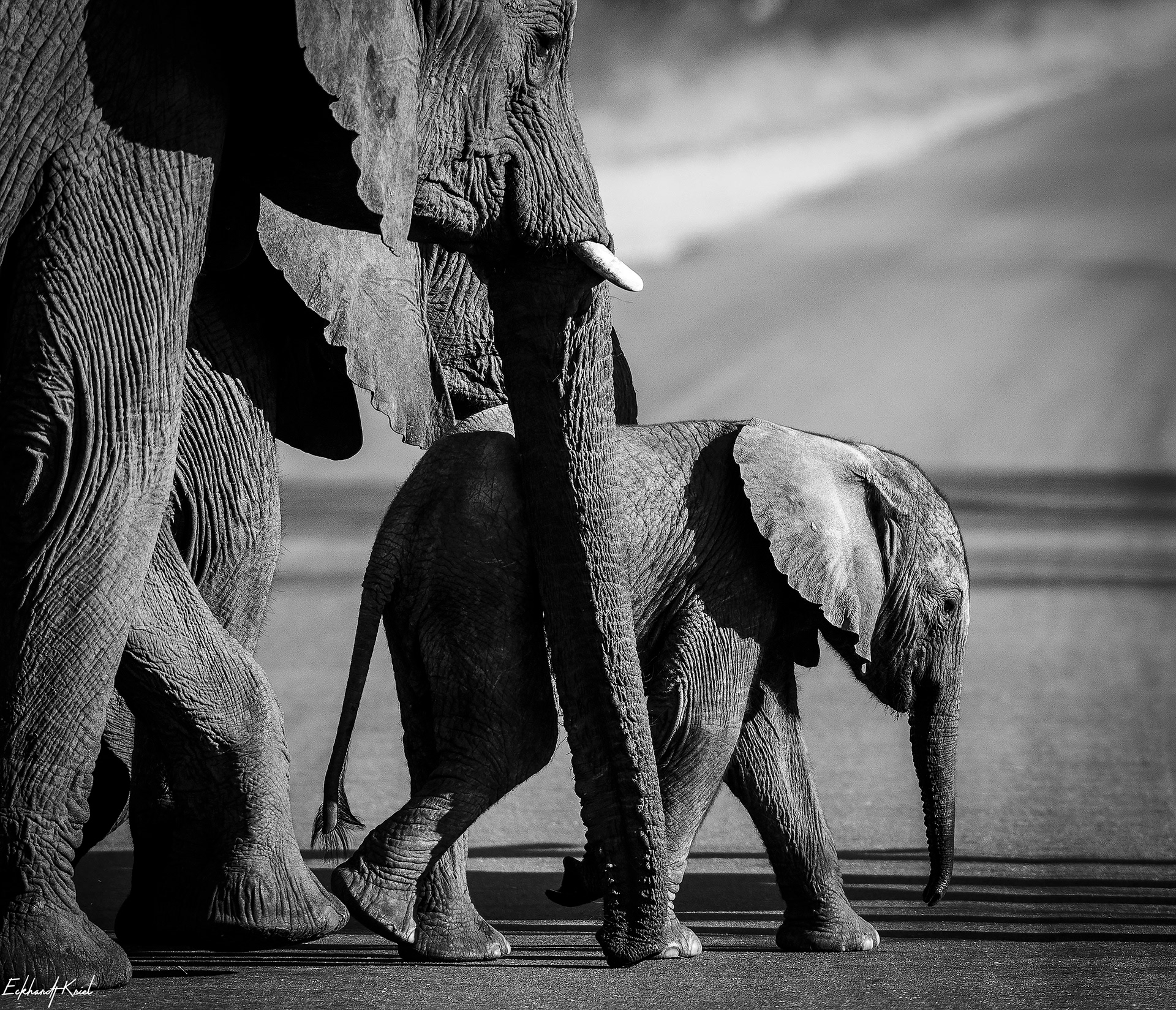 Kruger National Park