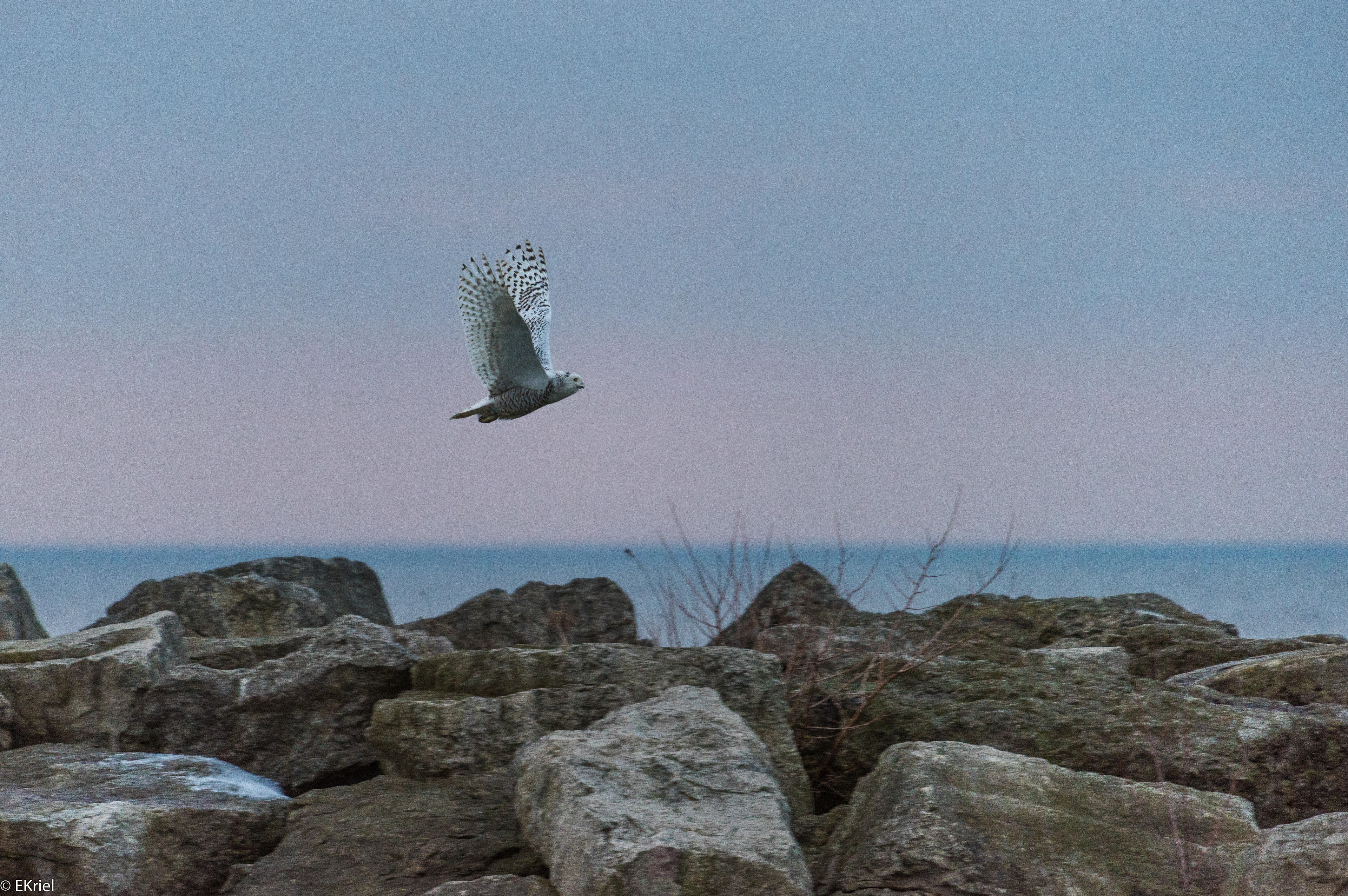 Oakville