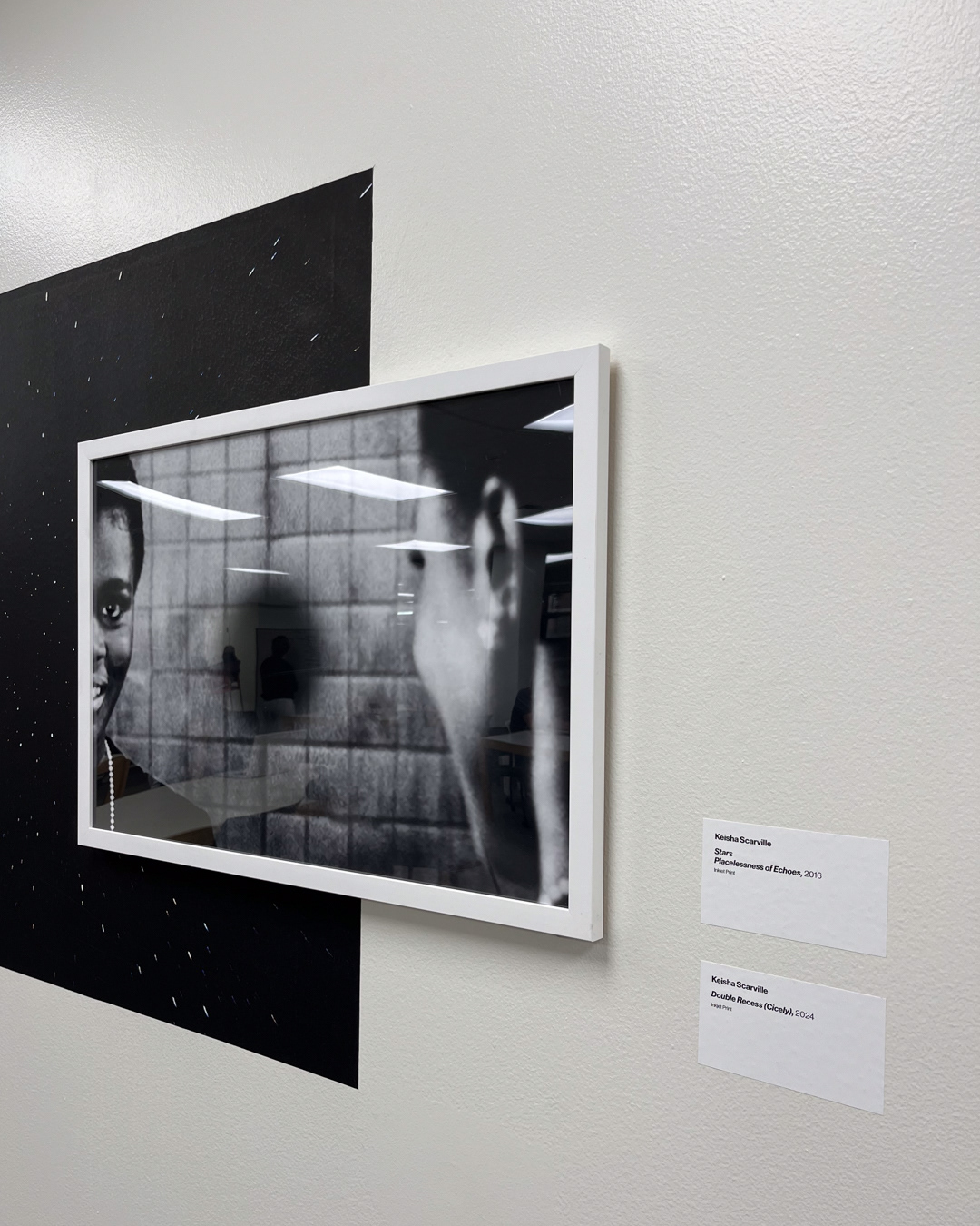 Wall label along with Scarville's work