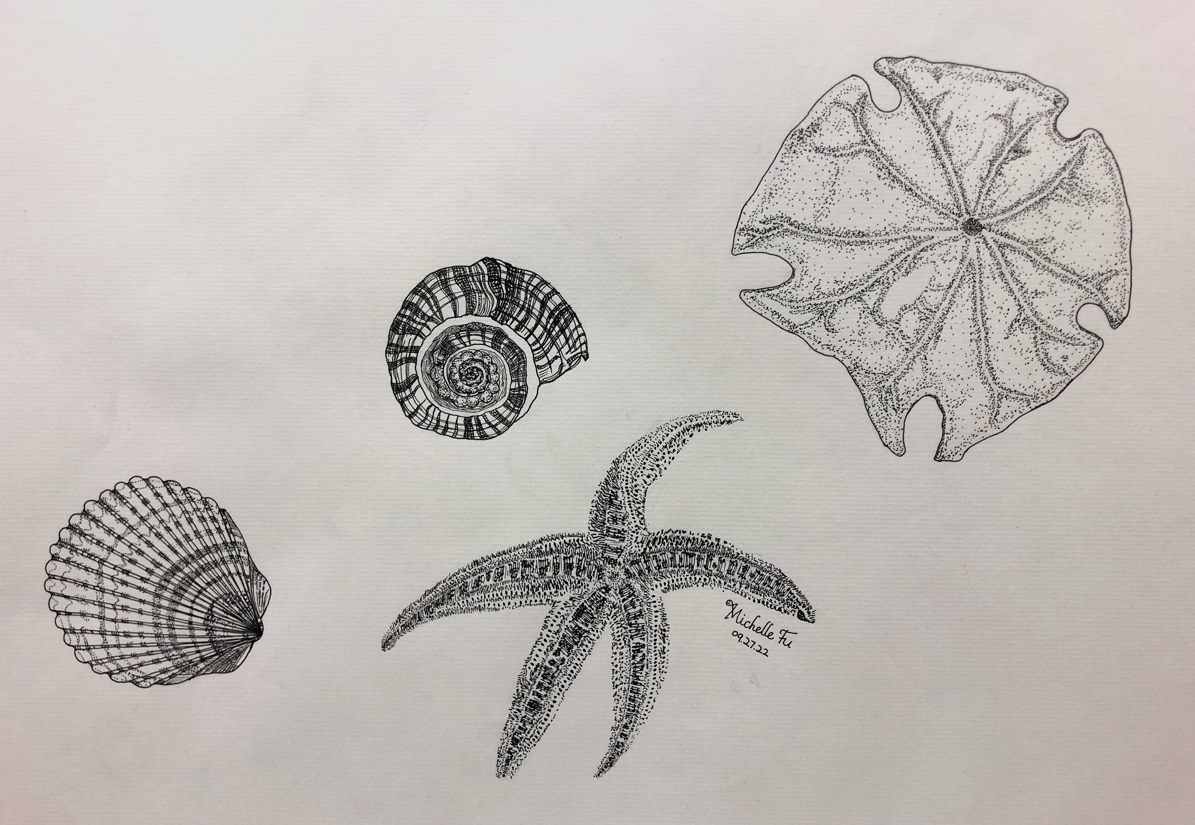 Ocean Stippling- Micron pens on drawing paper.