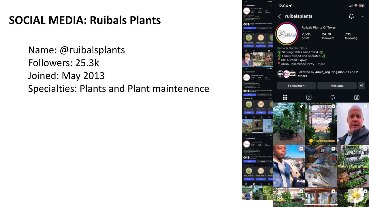 Ruibals - Benchmark Instagram numbers