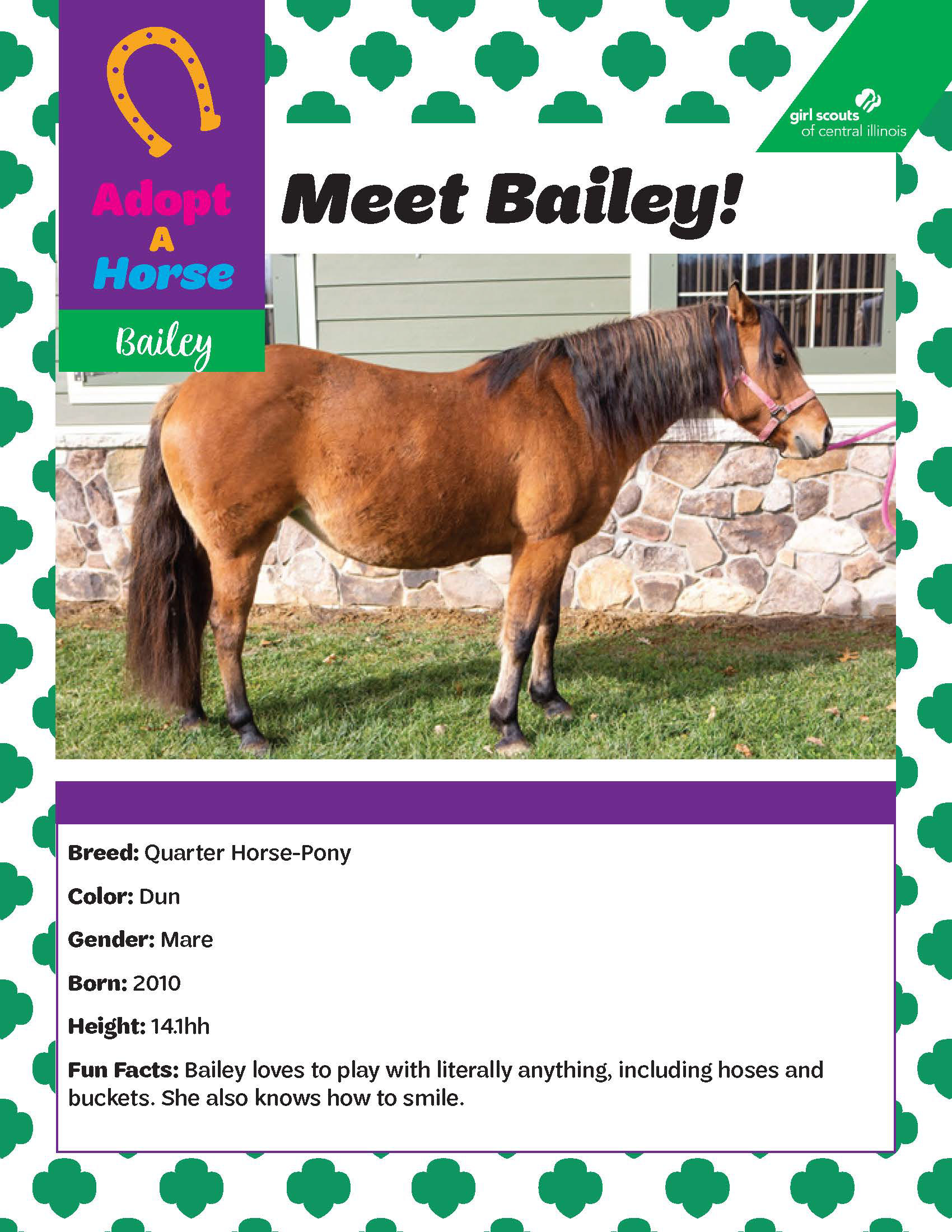 Adopt-A-Horse Fact Sheet
