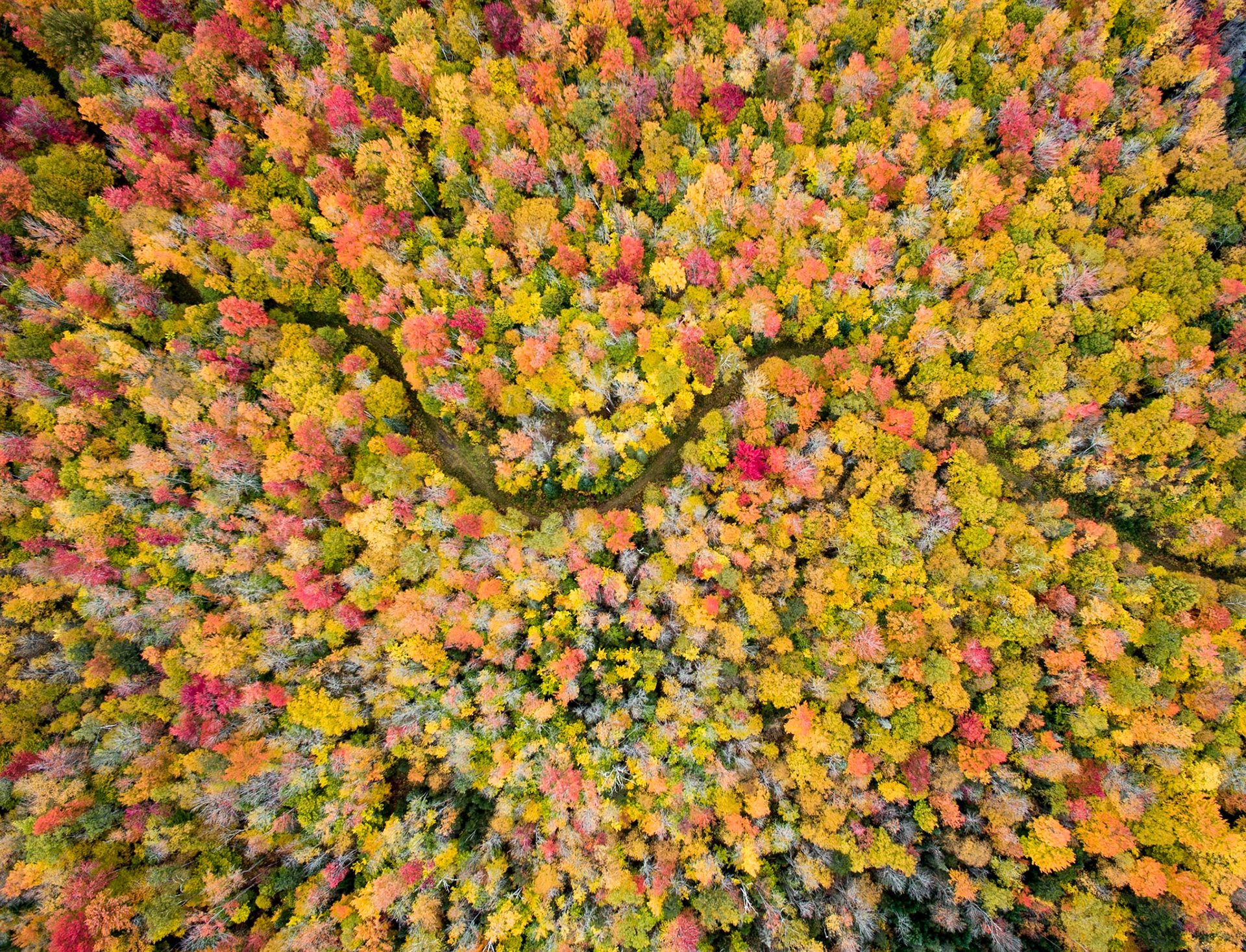 Fall Foliage - Central Vermont