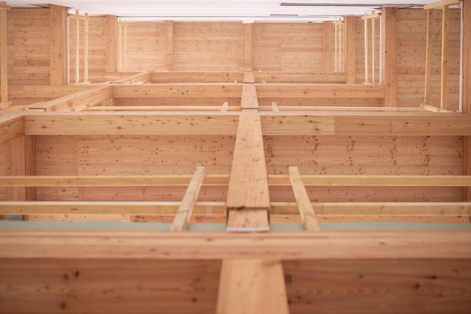 Blick durch Holzkonstruktion des Zuberhauses Regensburg