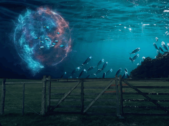 Under the Ocean (animated gif)