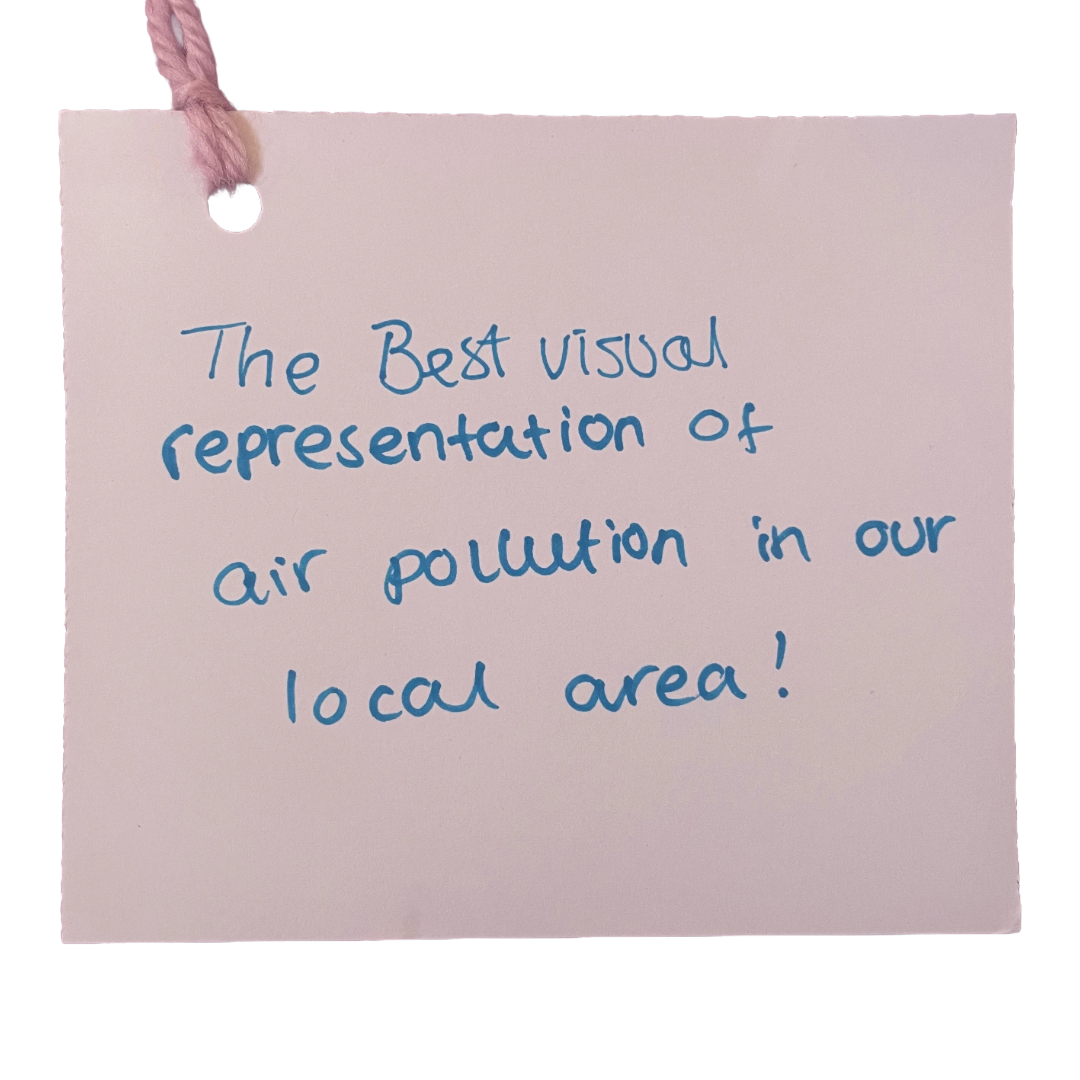 The best visual representation of air pollution in our local area!