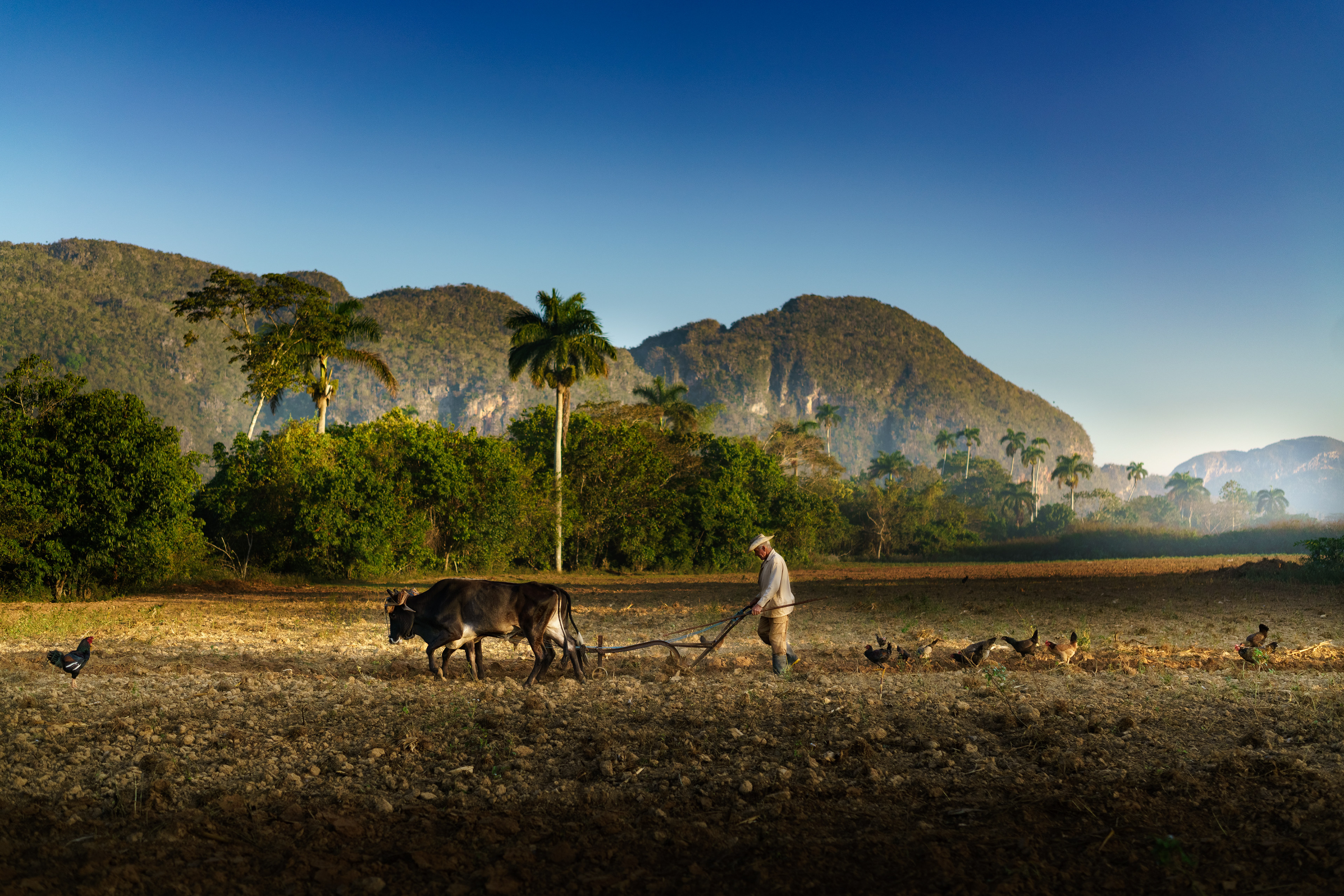 Vinales, Cuba