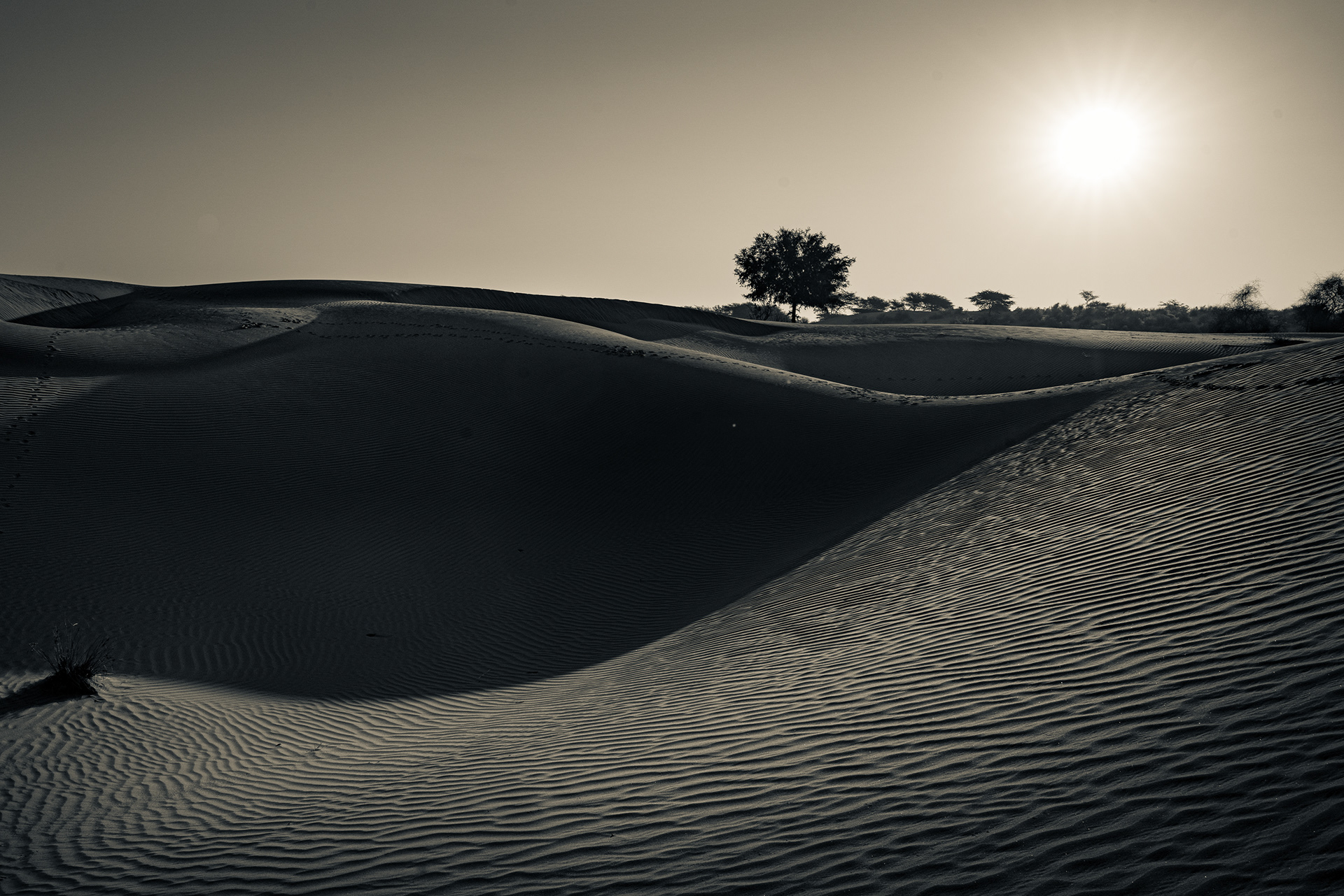 Dhoba, Jaisalmer, Rajasthan