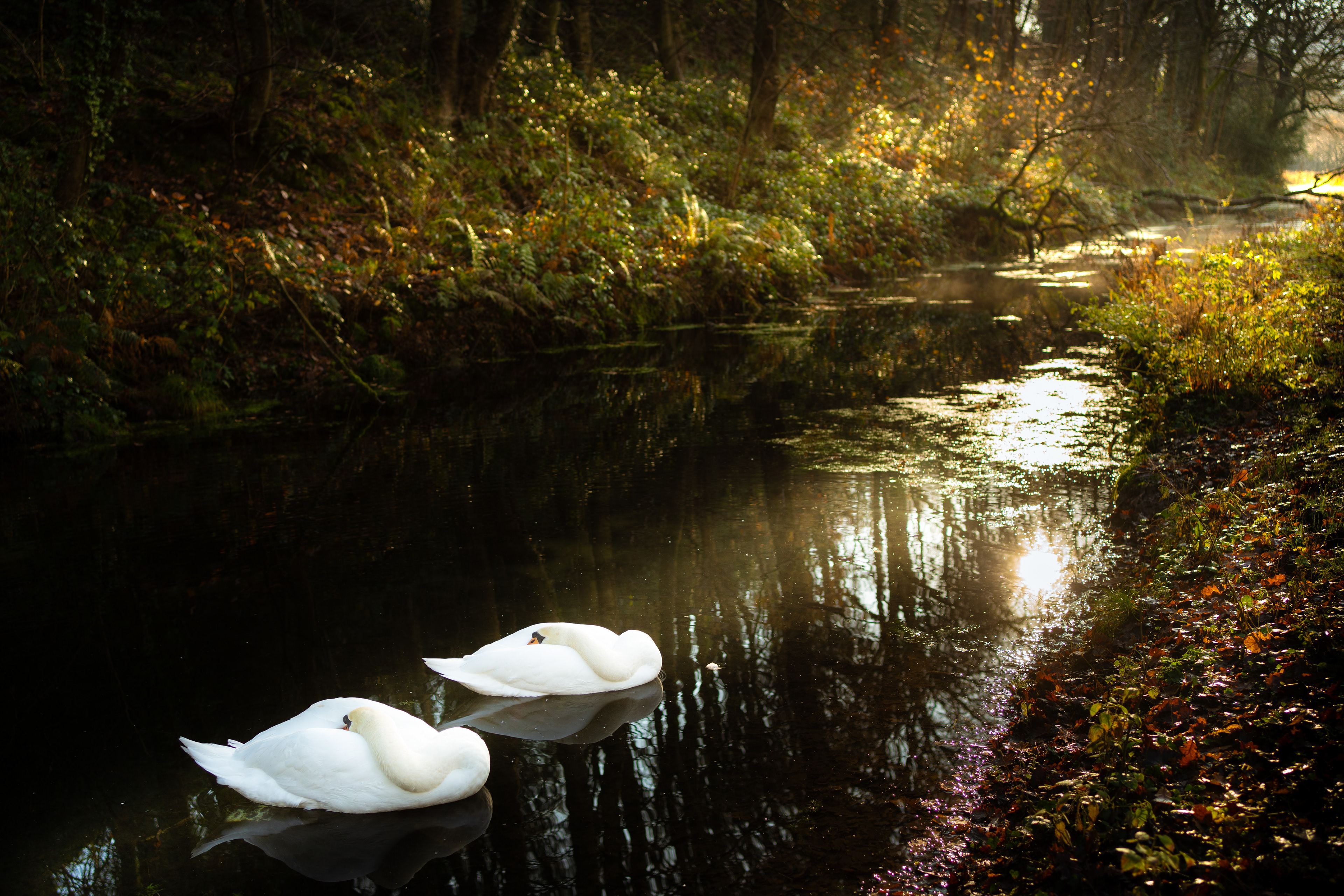 Cromford canal