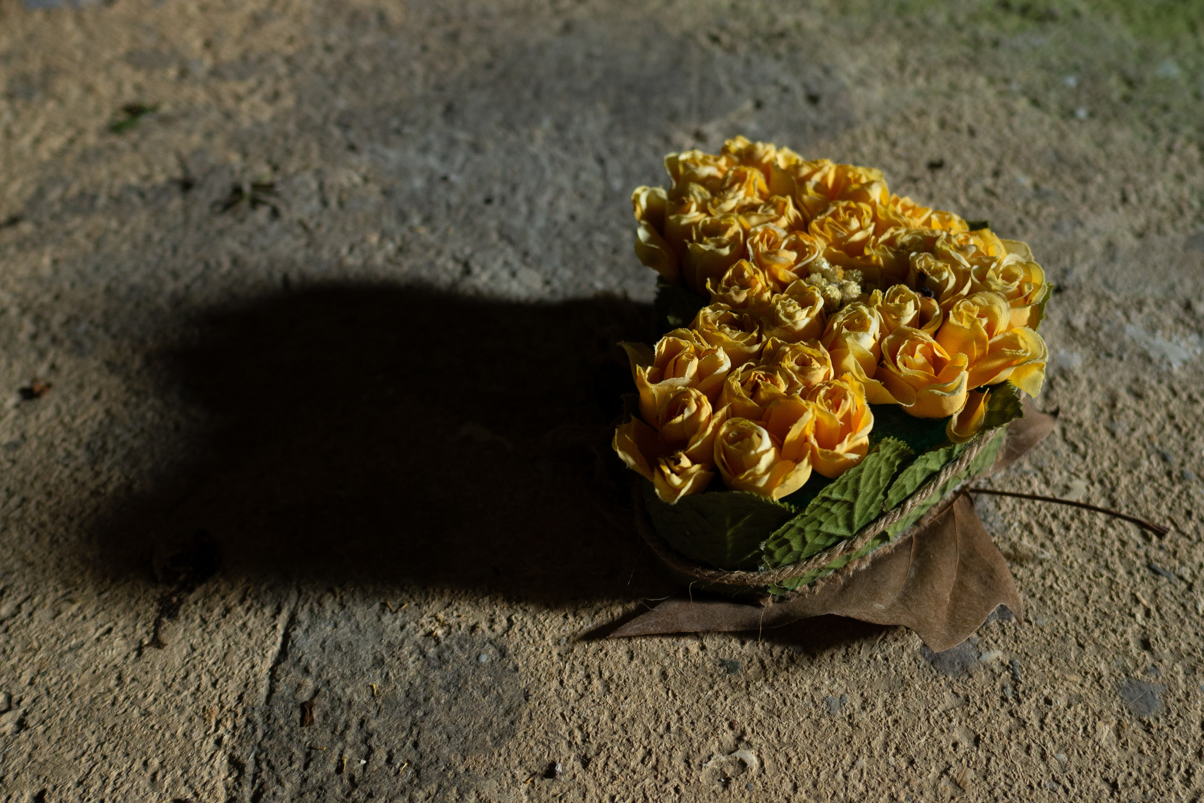 Ermitage Saint-Antoine de Galamus