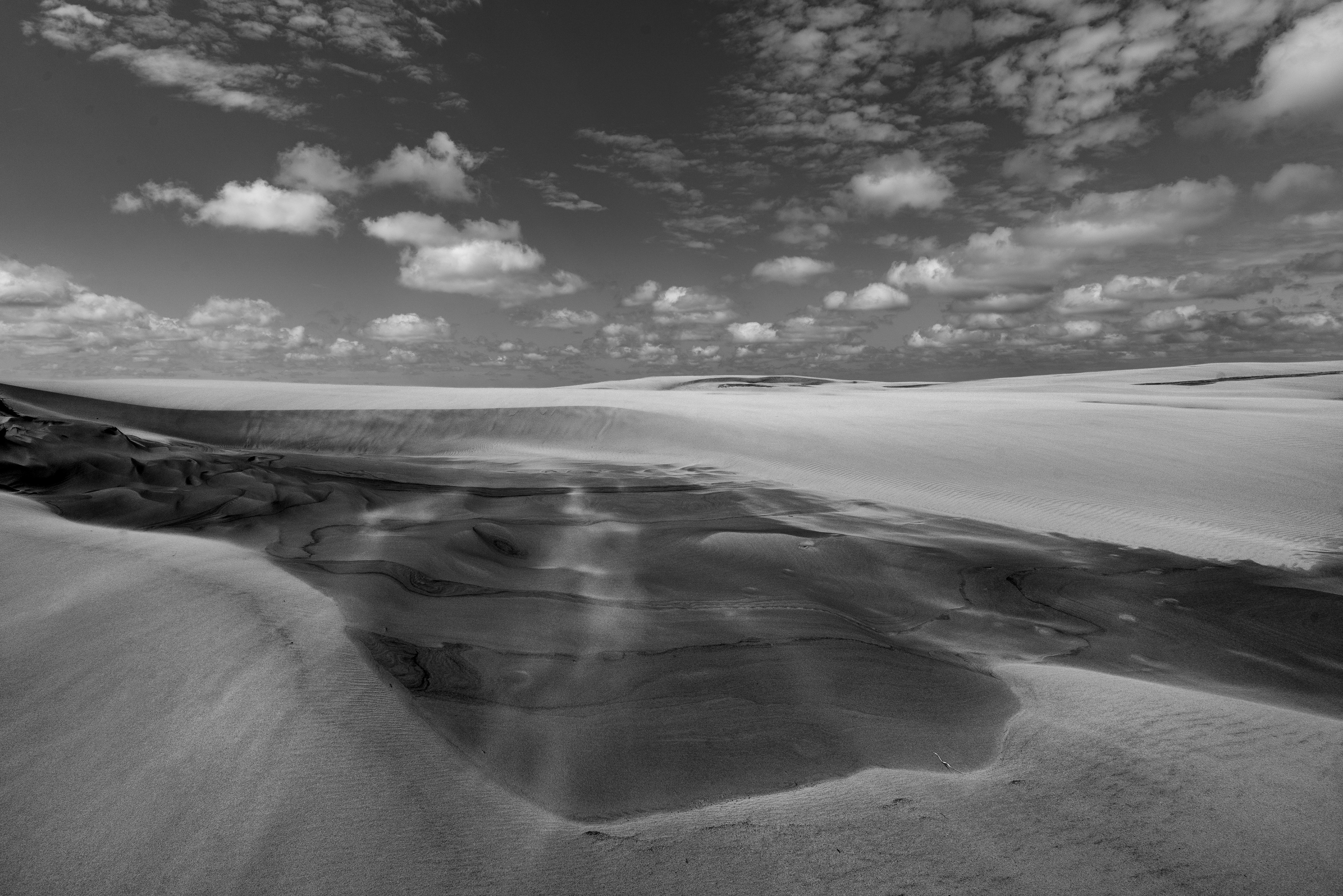 Råbjerg Mile, Denmark