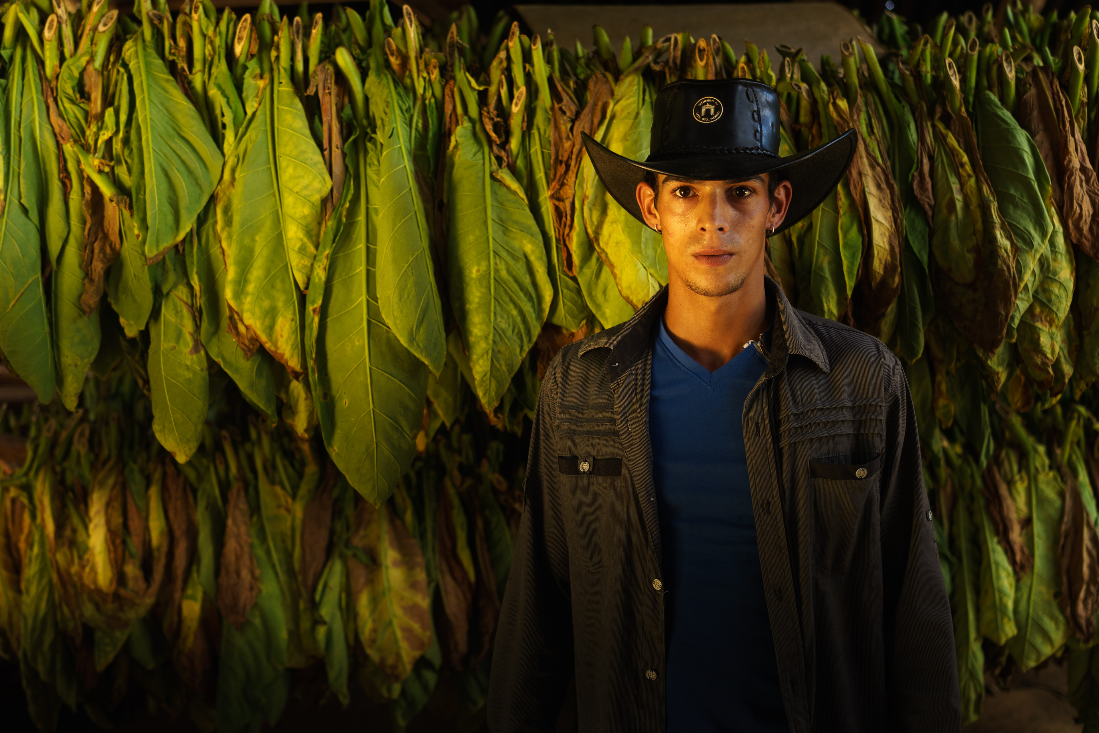 Vinales, Cuba