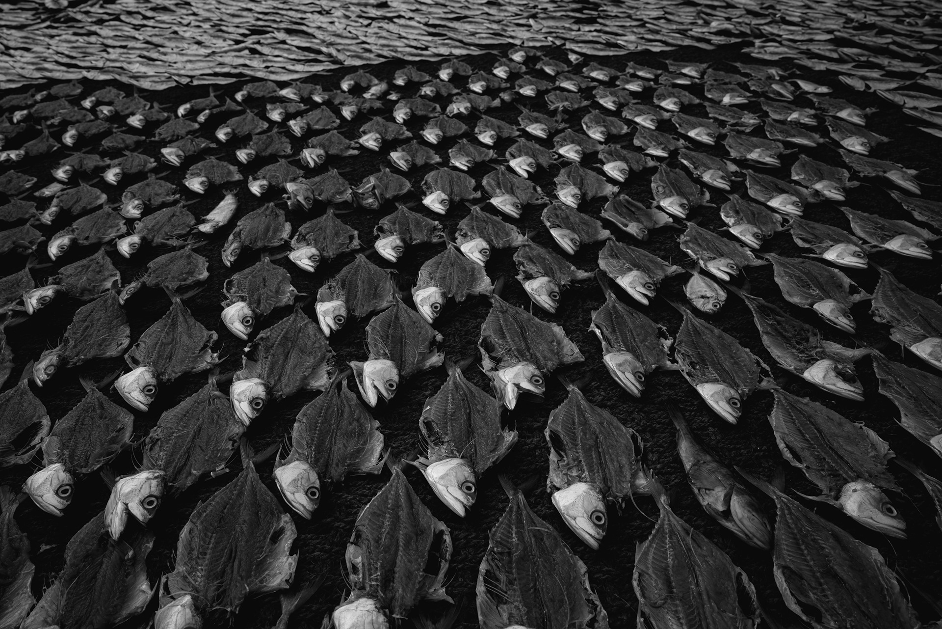 Mangaluru, Karnataka