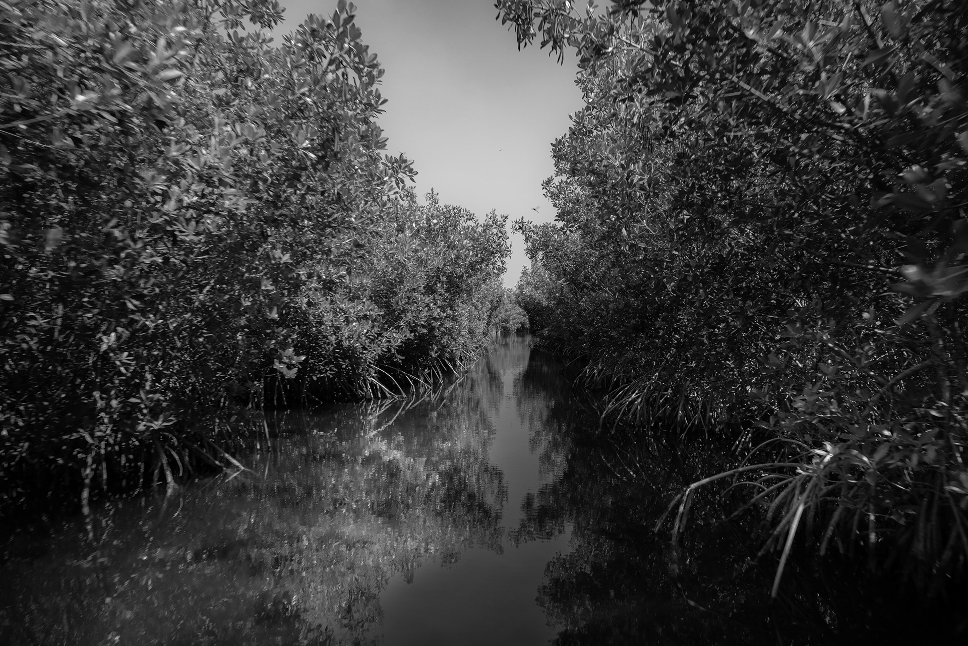 The Everglades, Florida