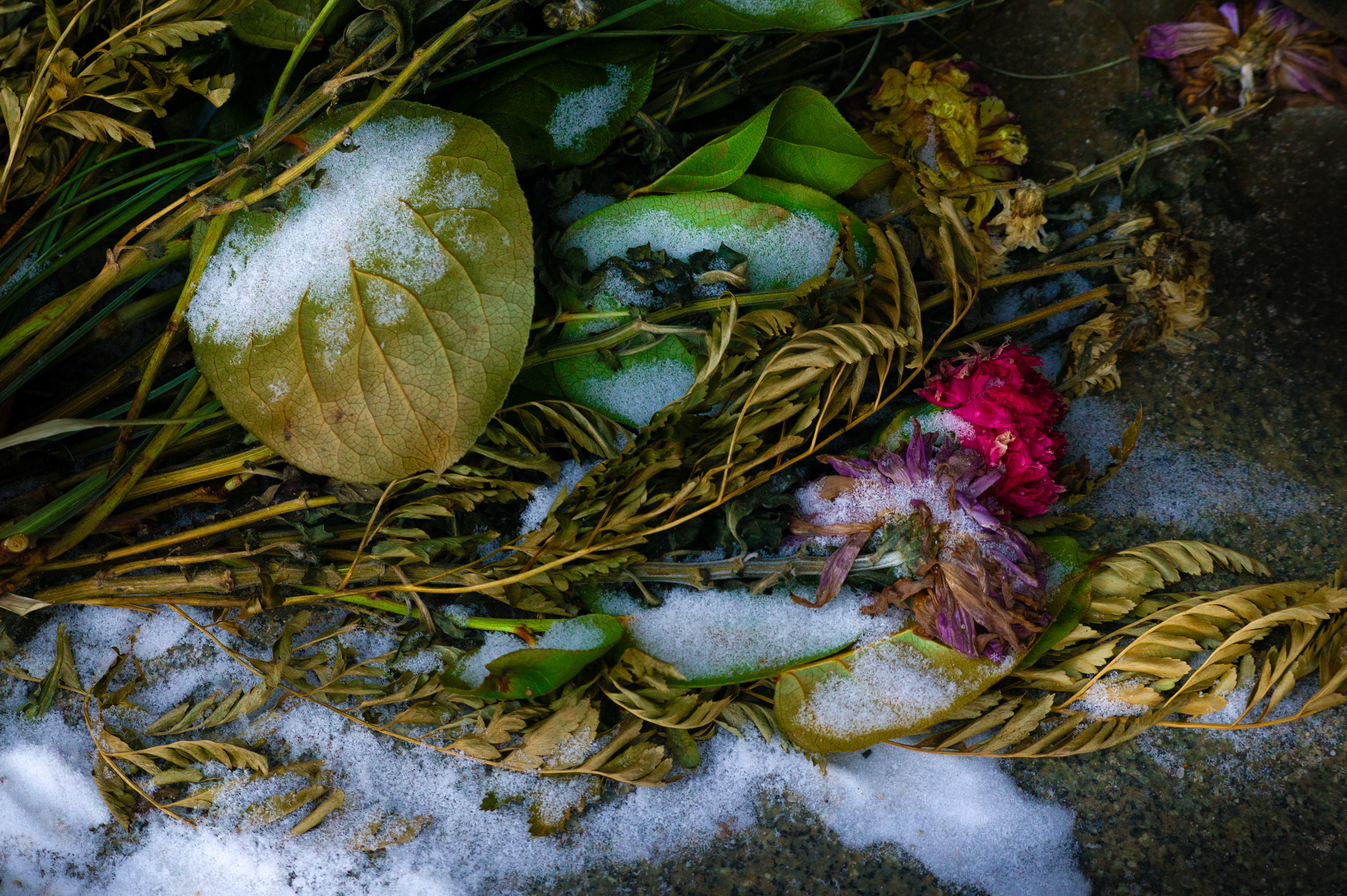 Russian war grave, Berlin
