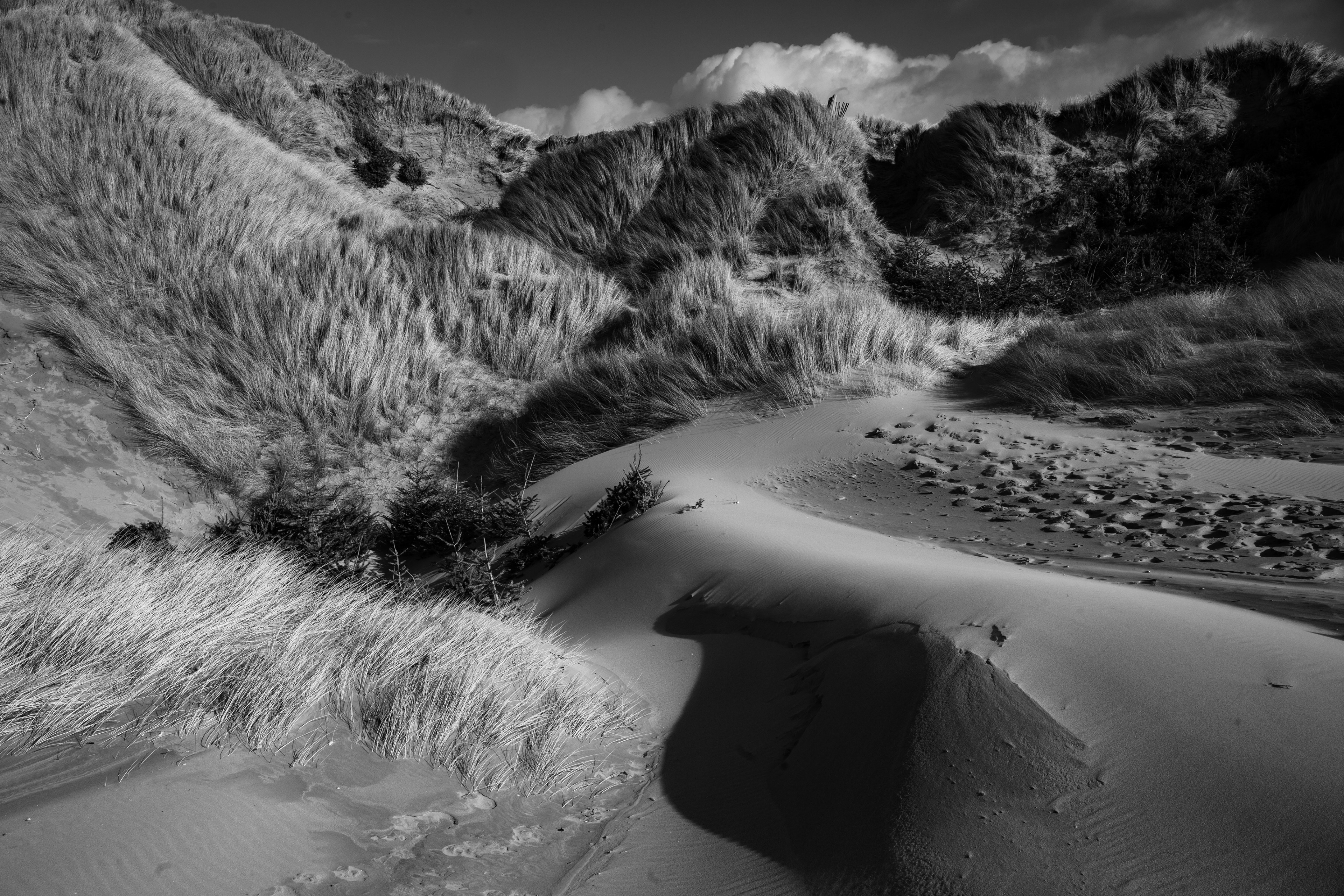 Crosby beach, Liverpool