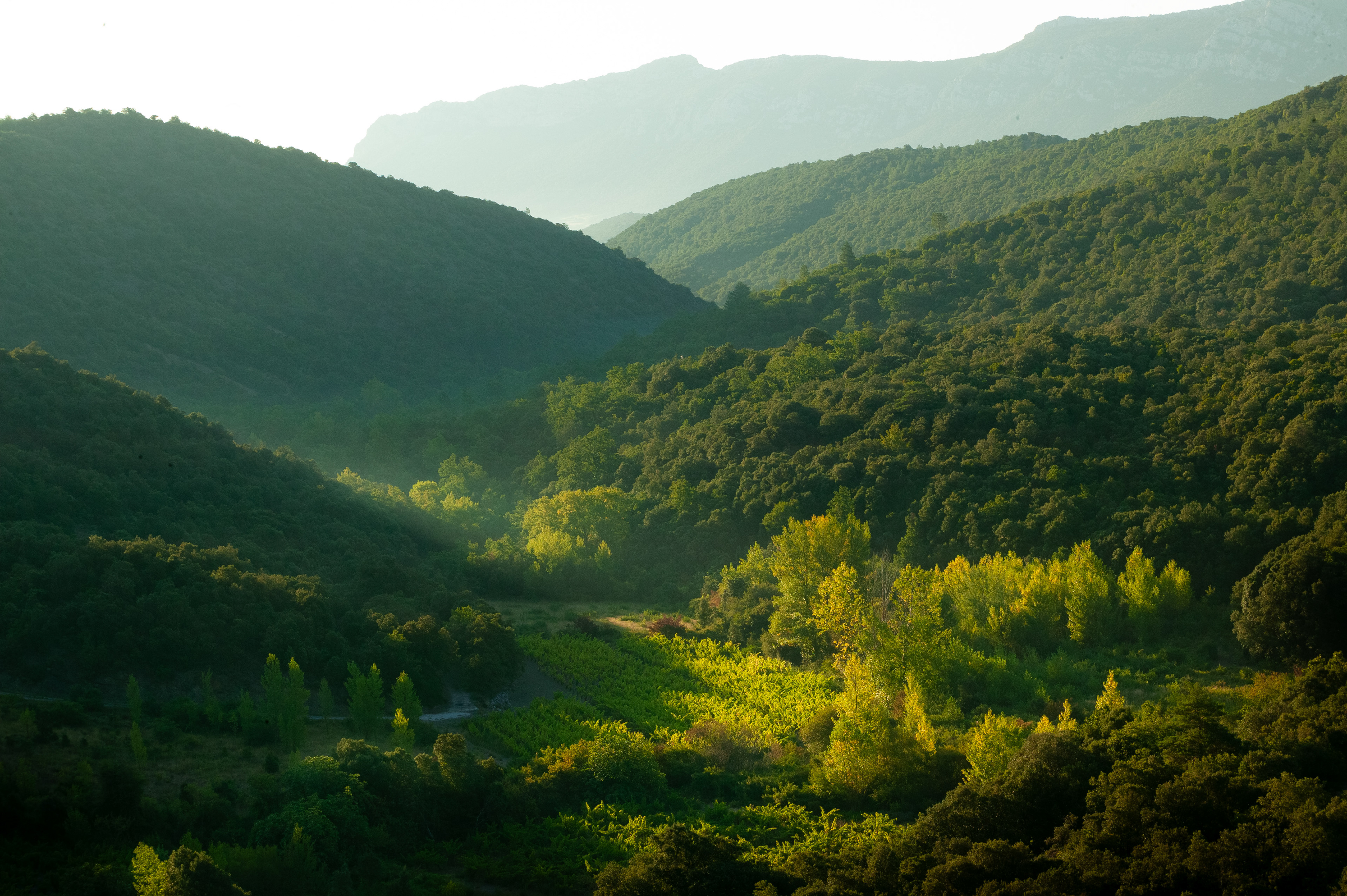 Saint-Paul-de-Fenouillet