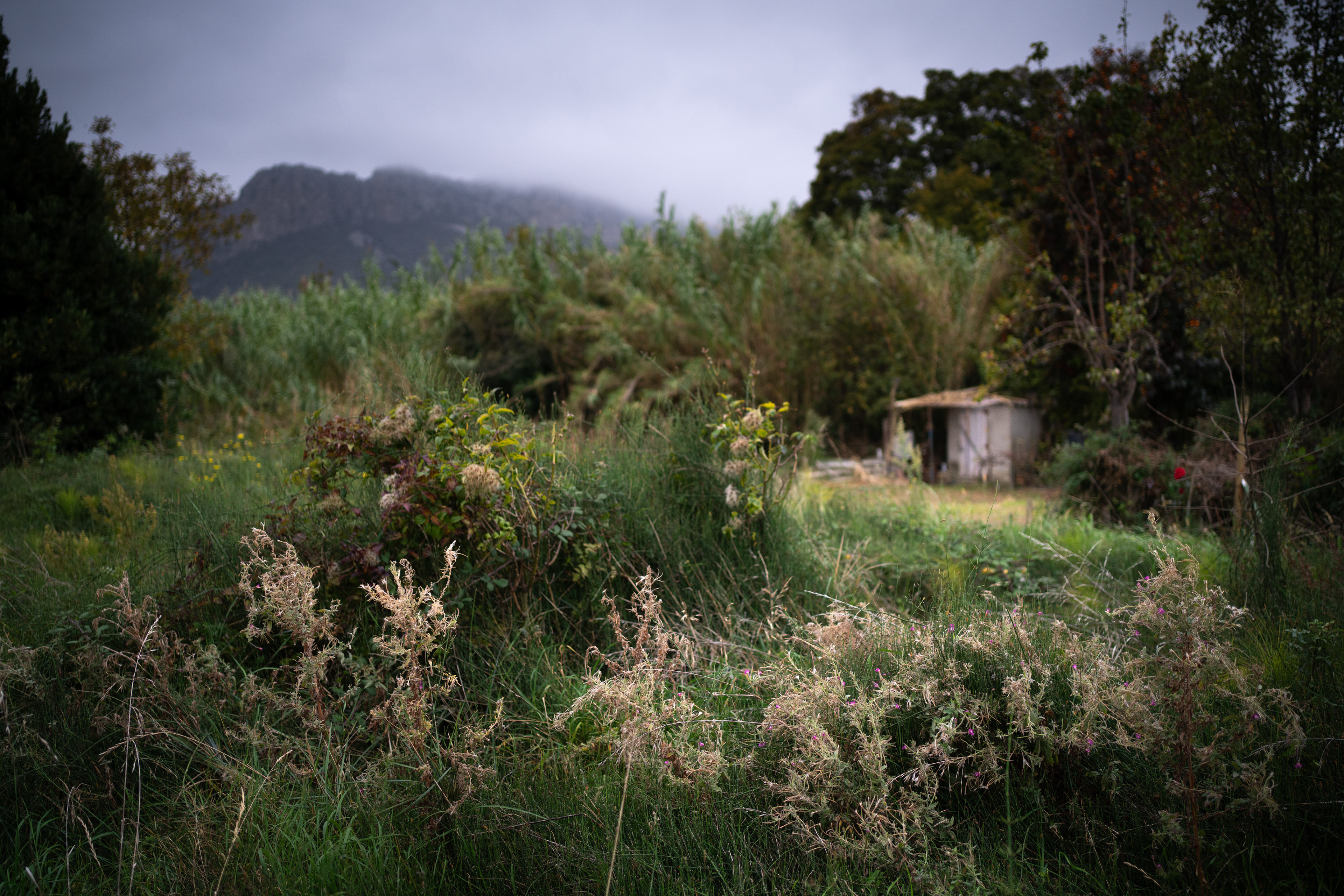 Saint-Paul-de-Fenouillet, Aude