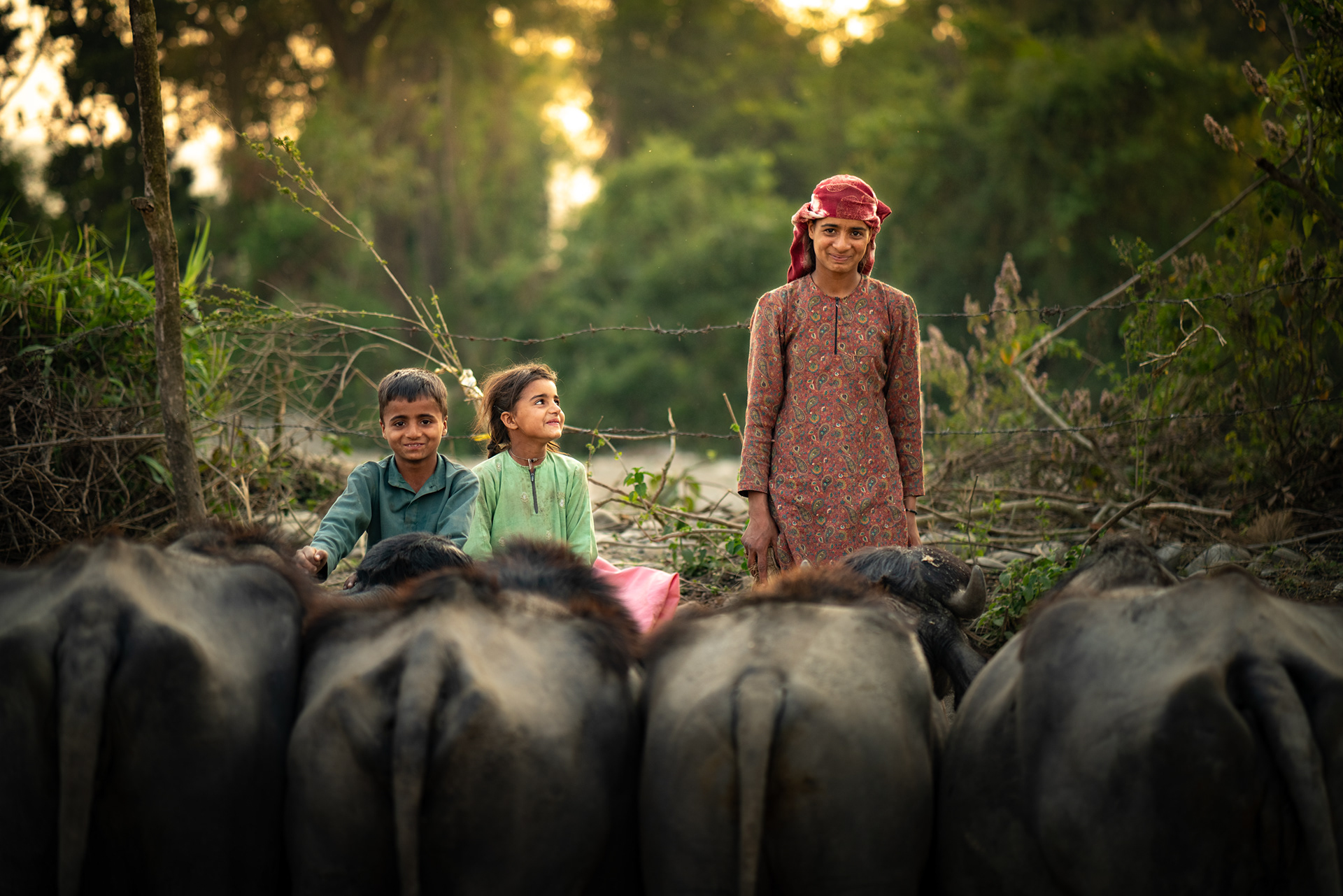 Chidderwala, Uttarakhand
