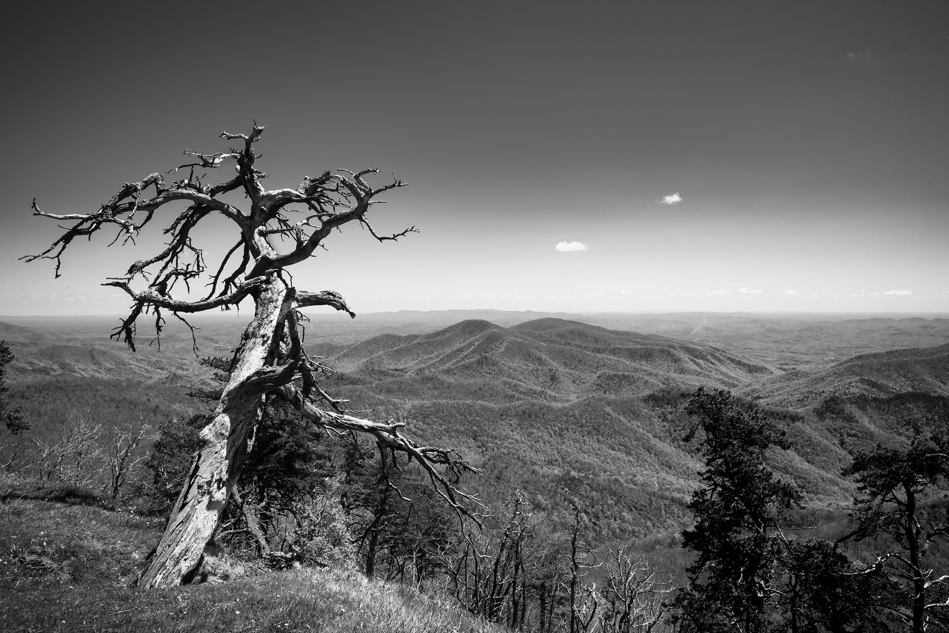 Blue Ridge Parkway, North Carolina