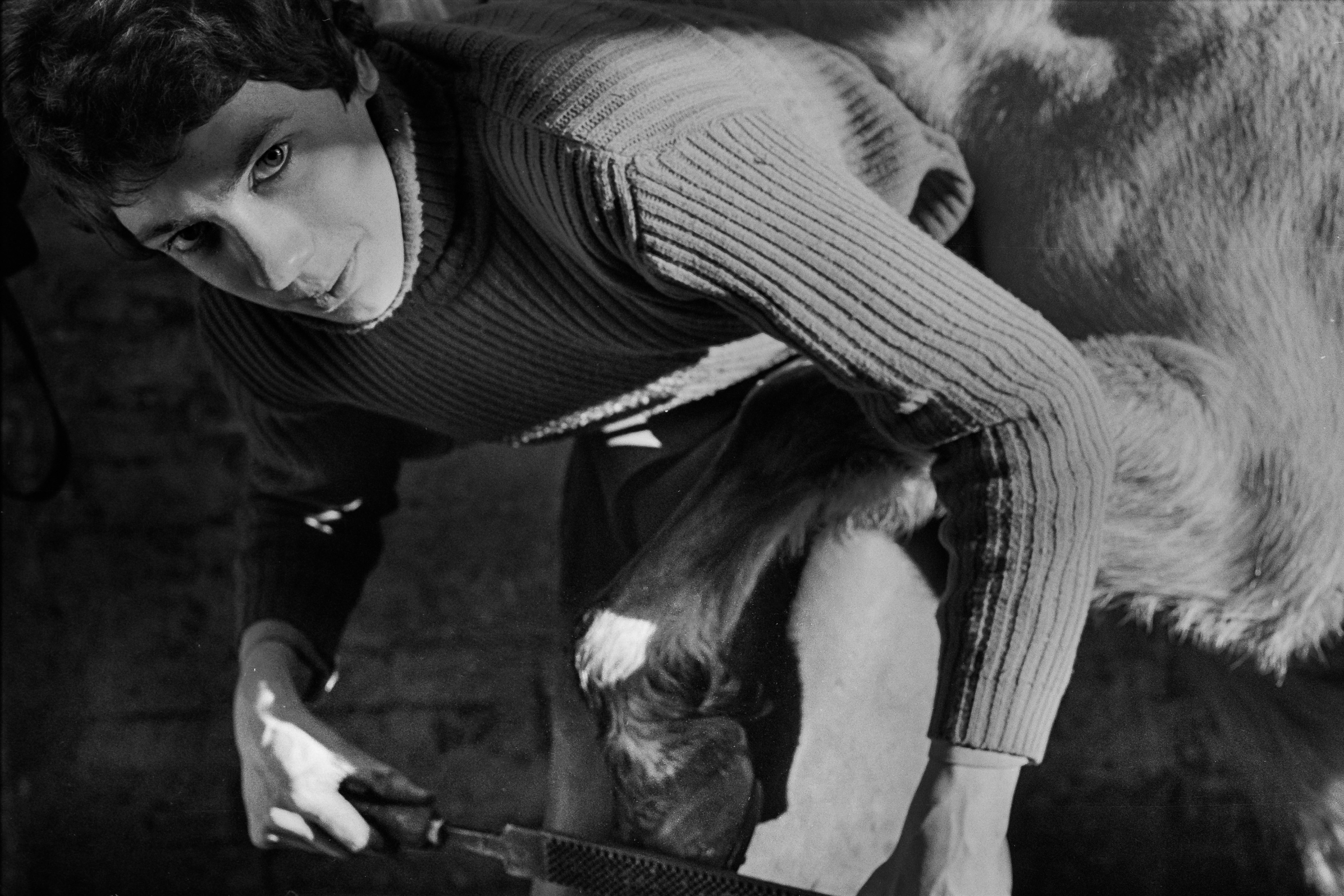 Farrier, Barnards Green, Malvern