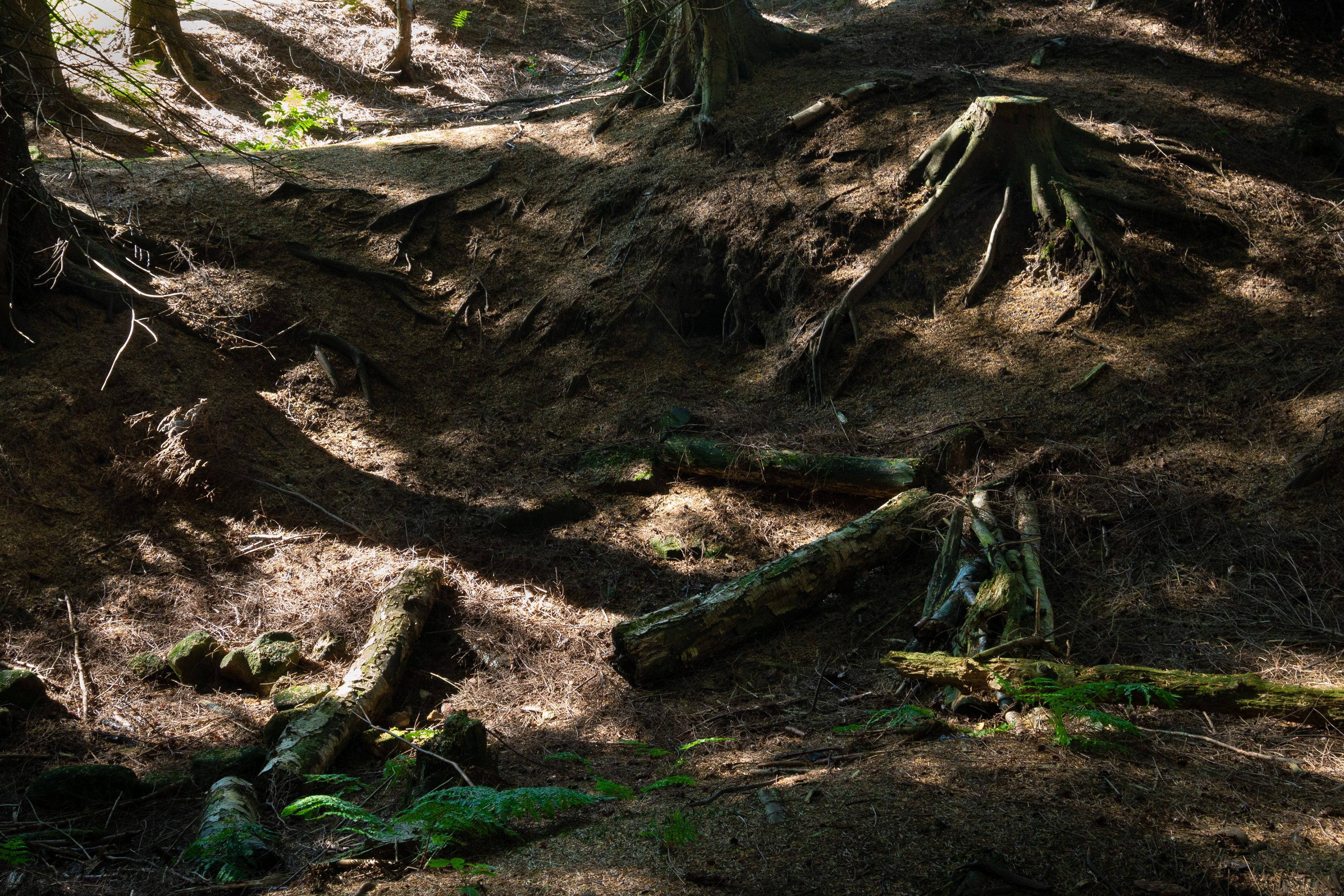 Black rocks, Derbyshire
