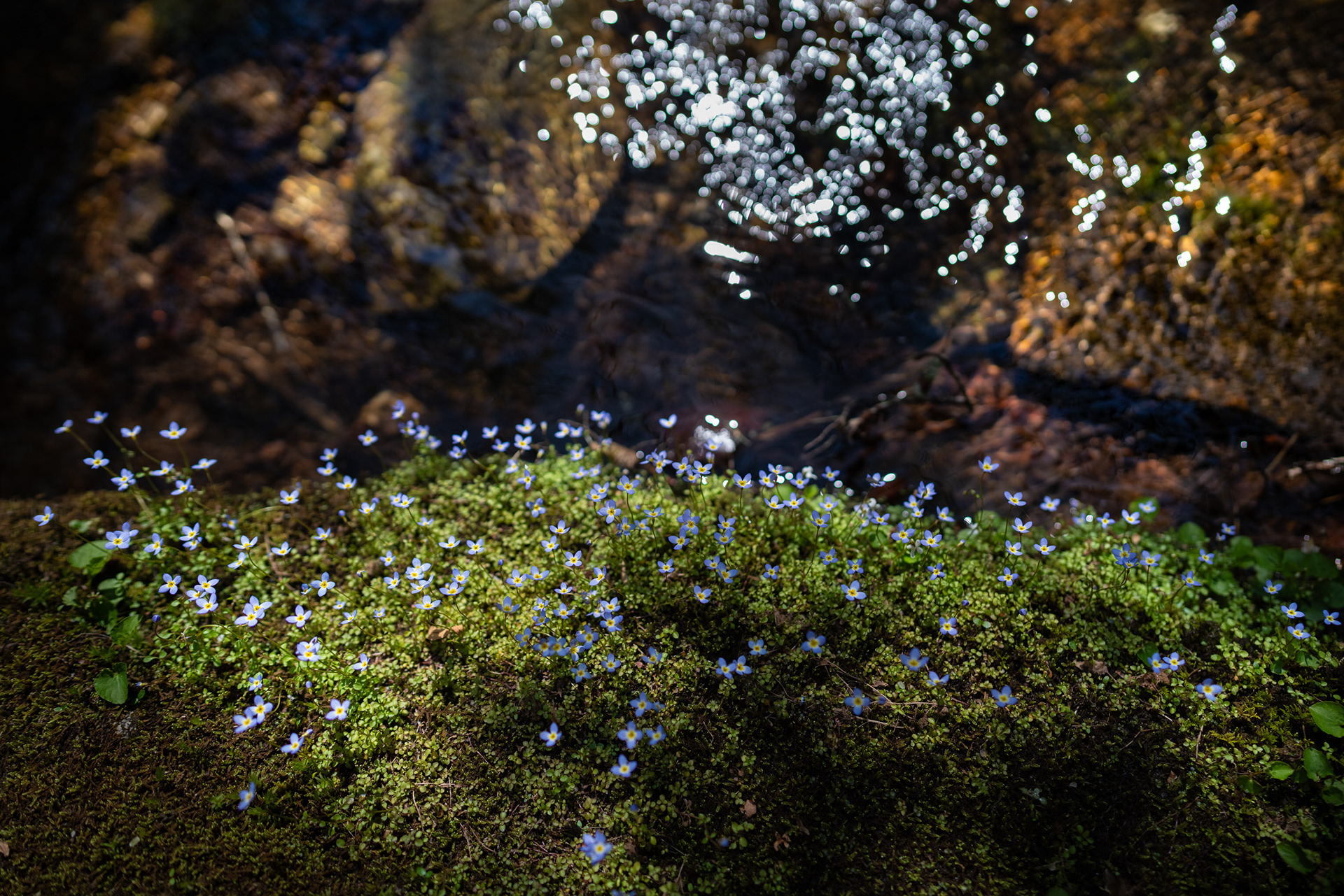 Boone, North Carolina