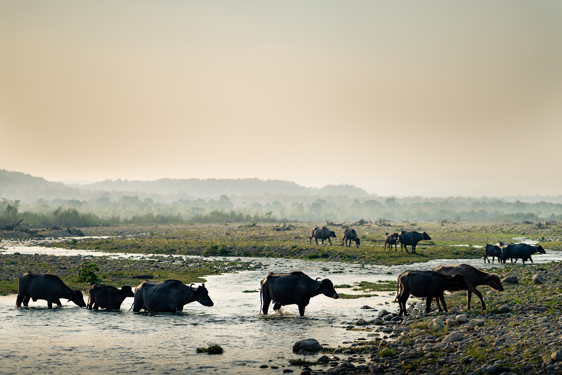 Song River, Chidderwala, Uttarakhand
