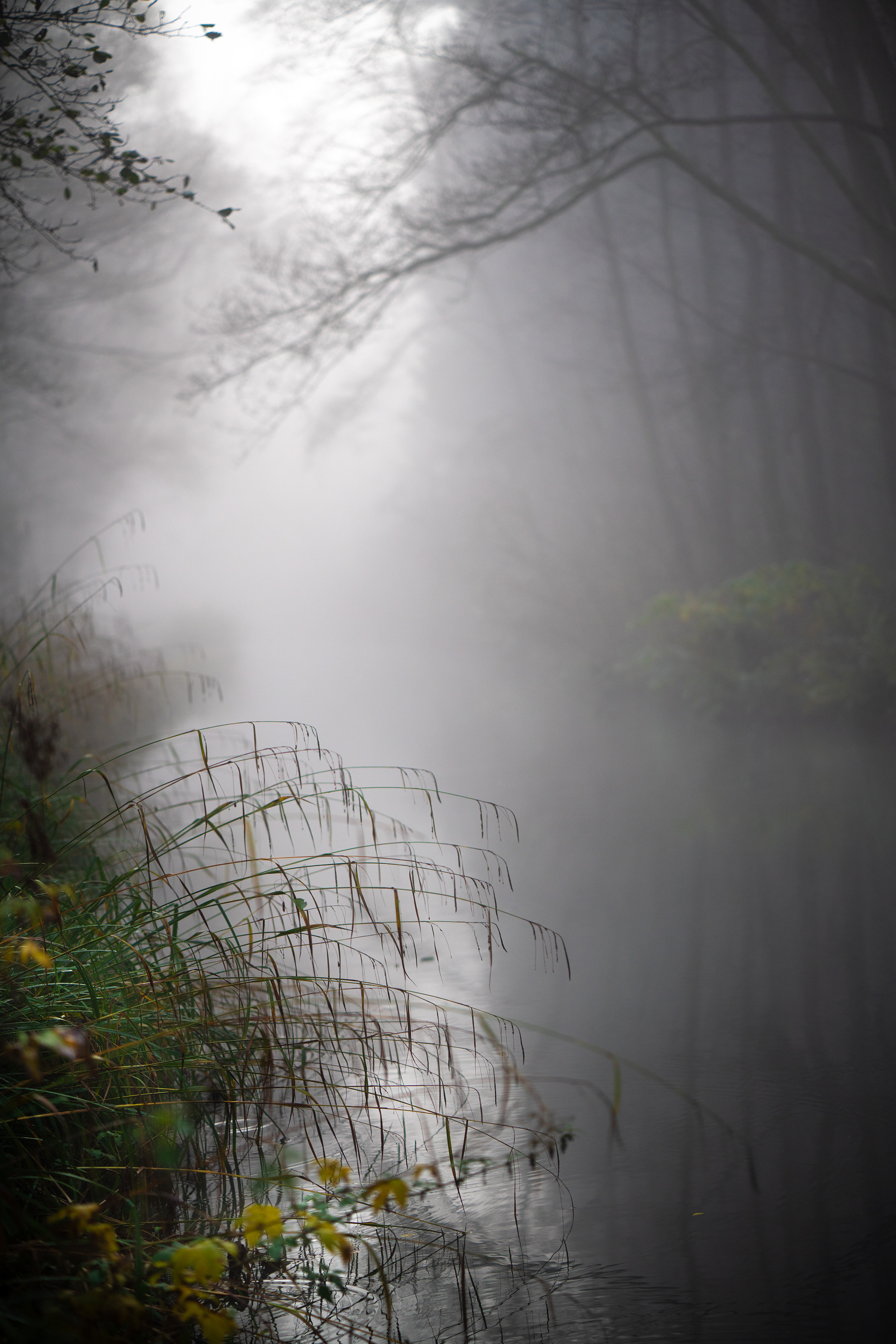Cromford canal