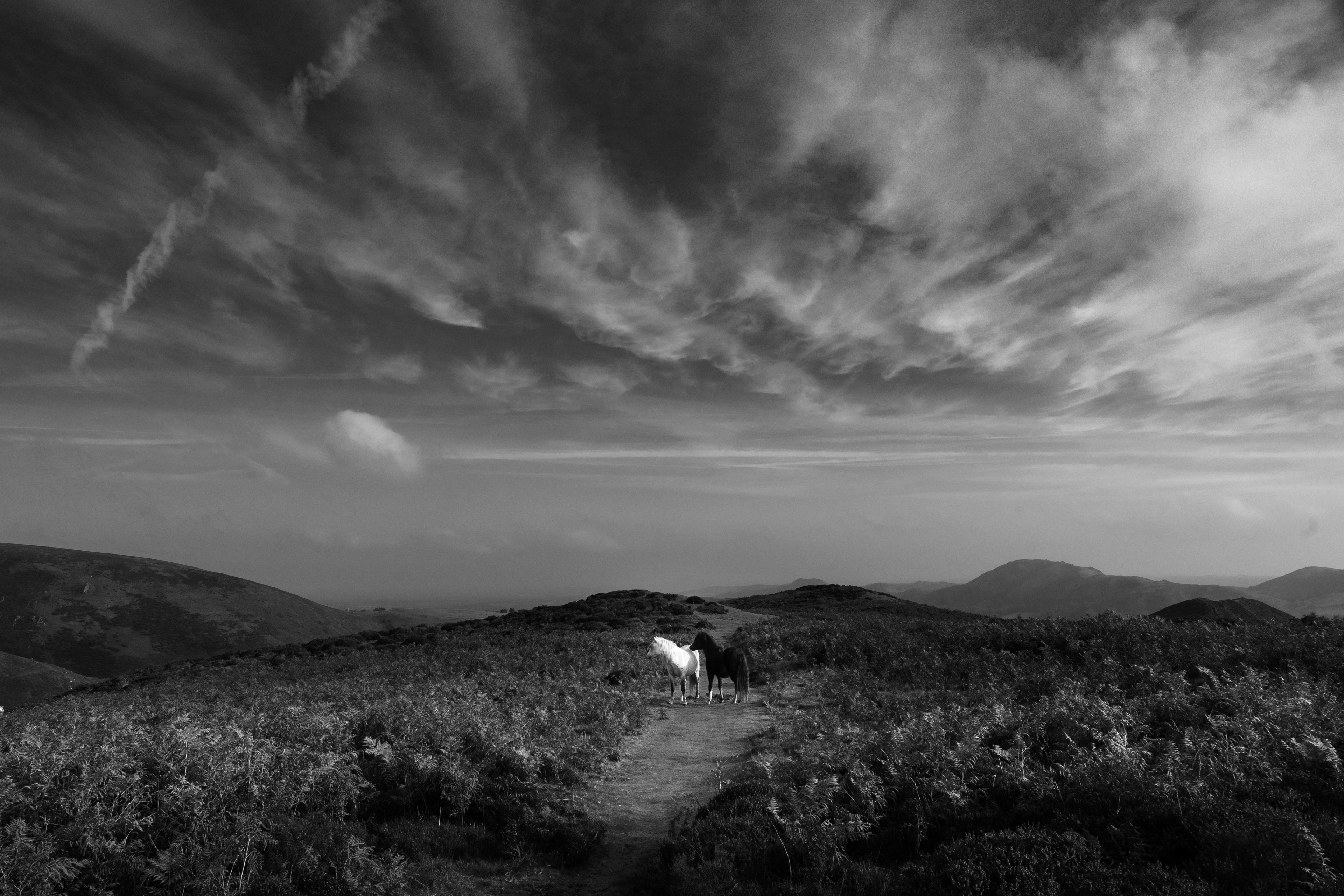 Long Mynd, Shropshire