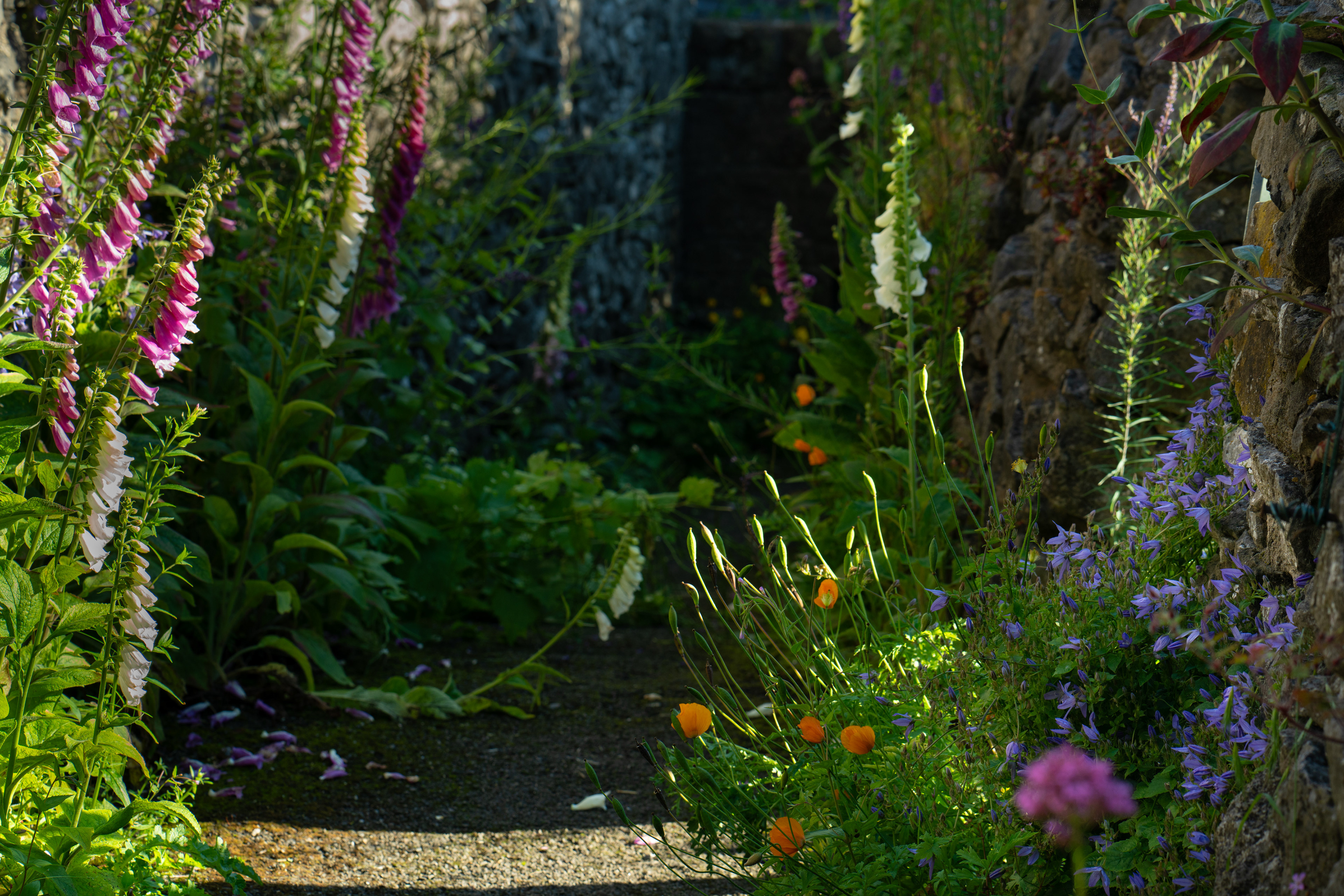 The Dale - Wirksworth