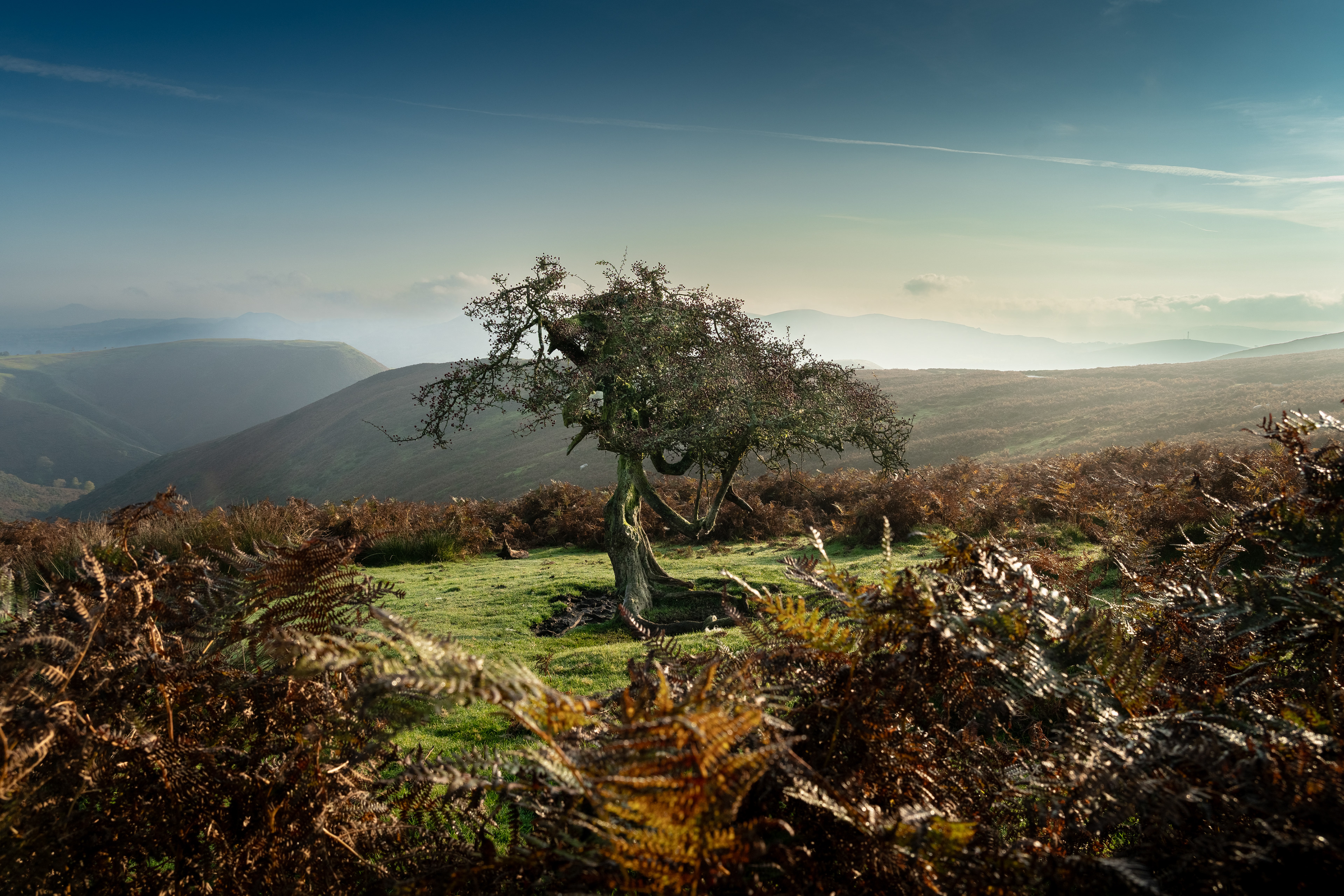 Long Mynd, Shropshire