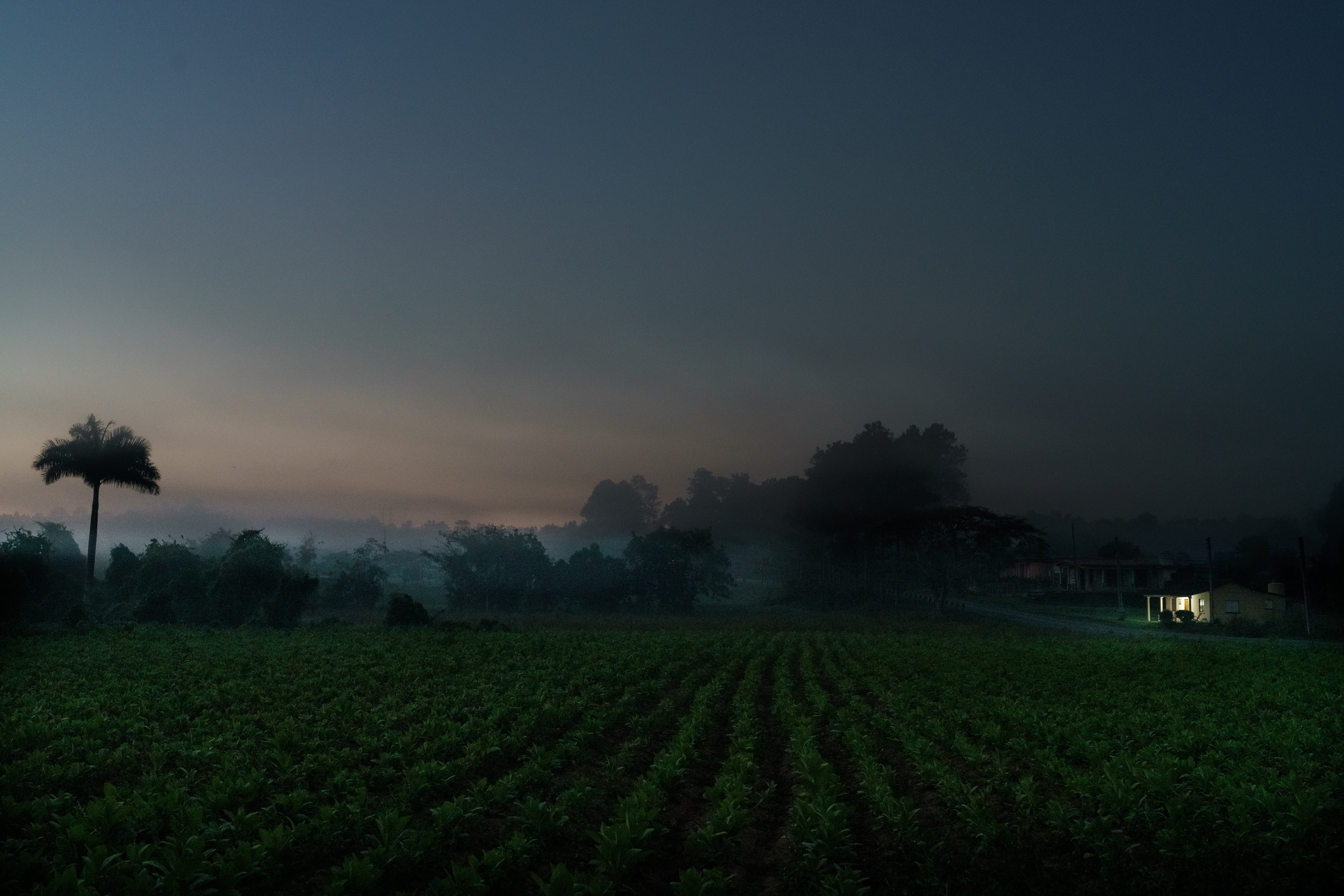 Vinales, Cuba