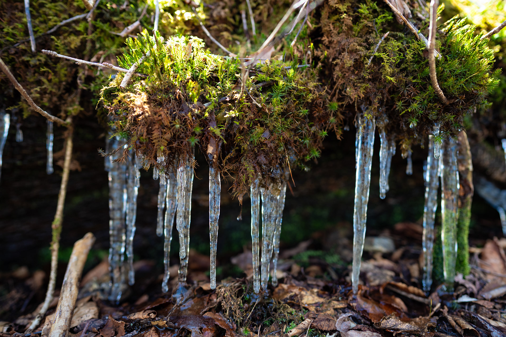 Blue Ridge Parkway, North Carolina