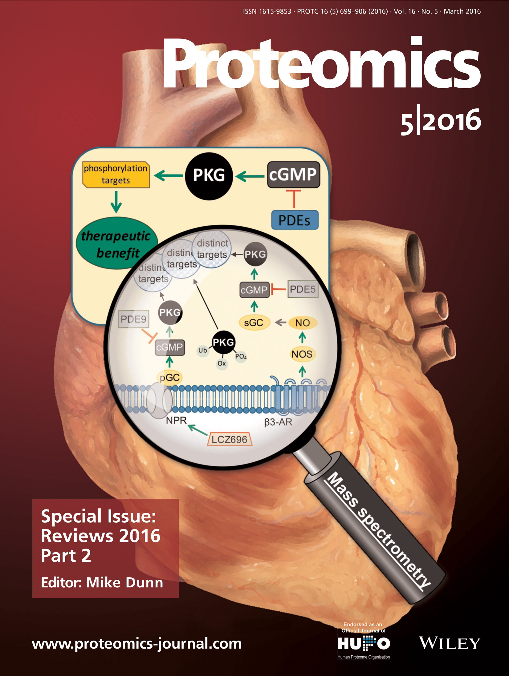 Kirk JA, Holewinski RJ, Crowgey EL, Van Eyk JE. Protein Kinase G signaling in cardiac pathophysiology: Impactof Proteomics on clinical trials. Proteomics, 2016; 16 (5), 894-905, PMID: 26670943