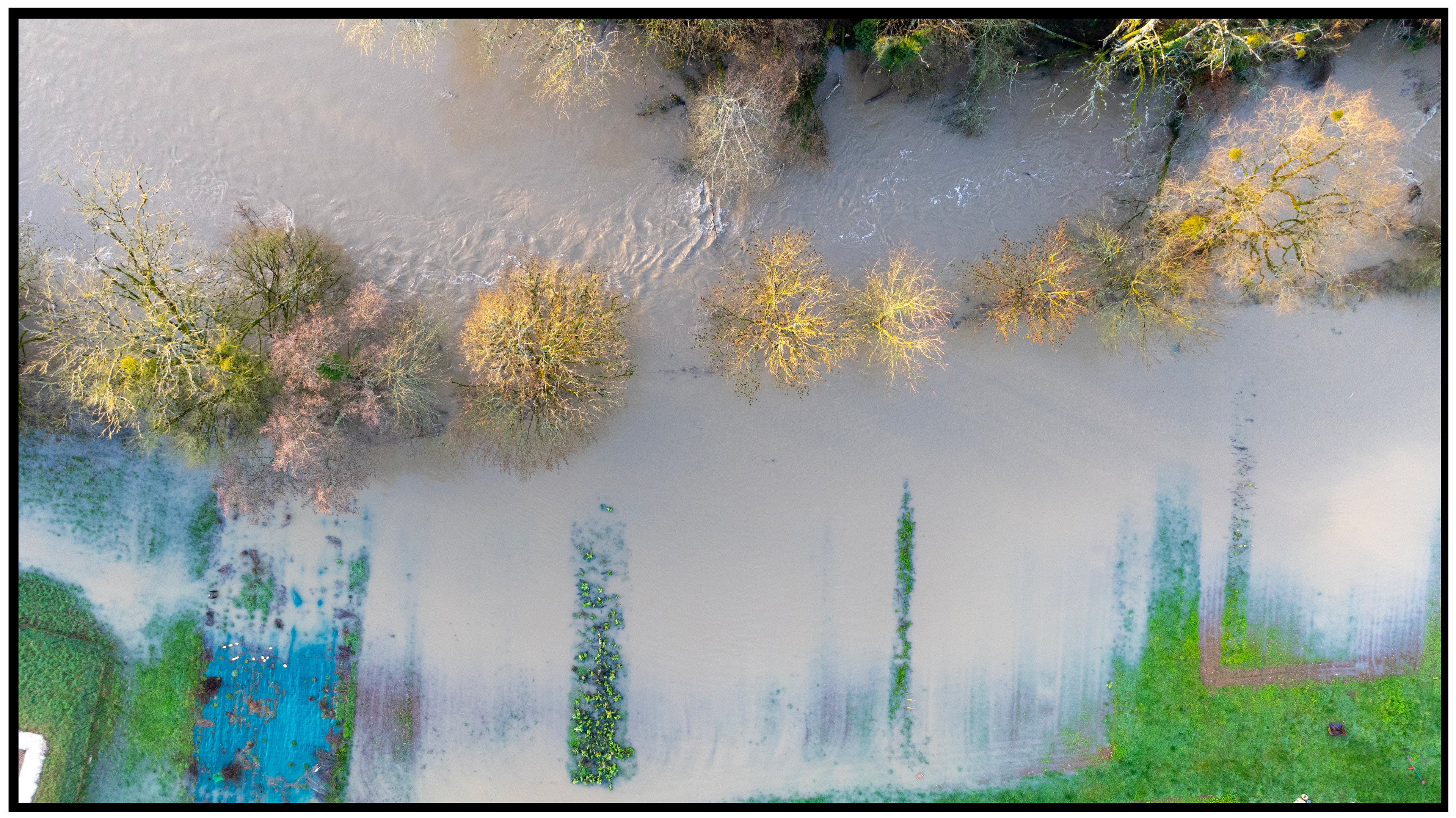 Champ inondé où les arbres et leurs reflets se confondent, créant une illusion naturelle vue du ciel.