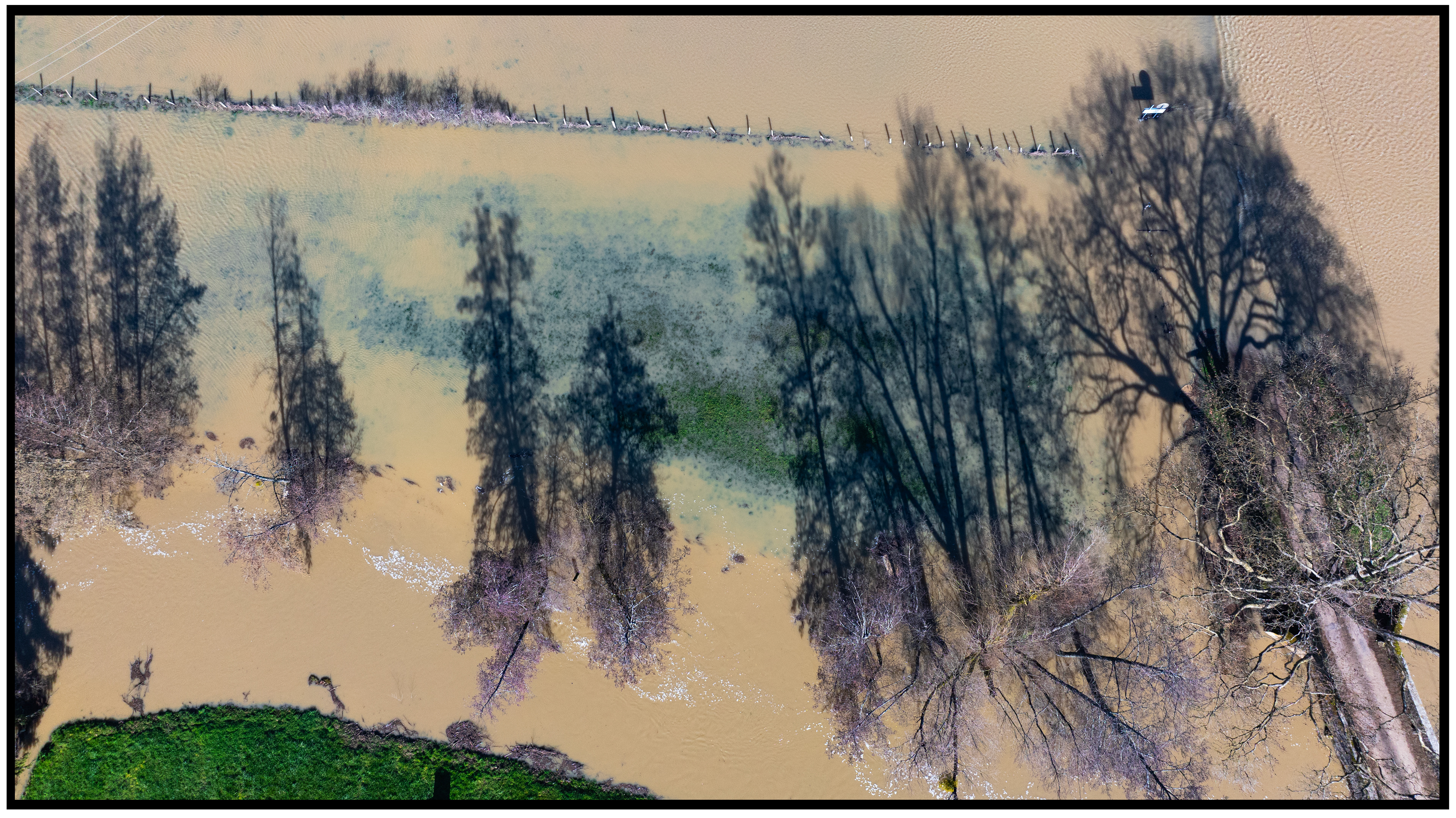 Le champ inondé ressemble à un tableau peint, avec des formes abstraites créées par l'eau et les arbres, capturant une œuvre éphémère.