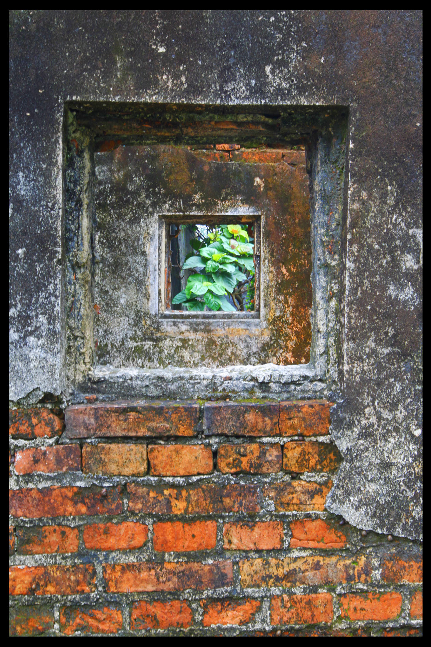 Vue à travers une fenêtre de mur en briques, montrant des feuilles vertes au Nord Vietnam.