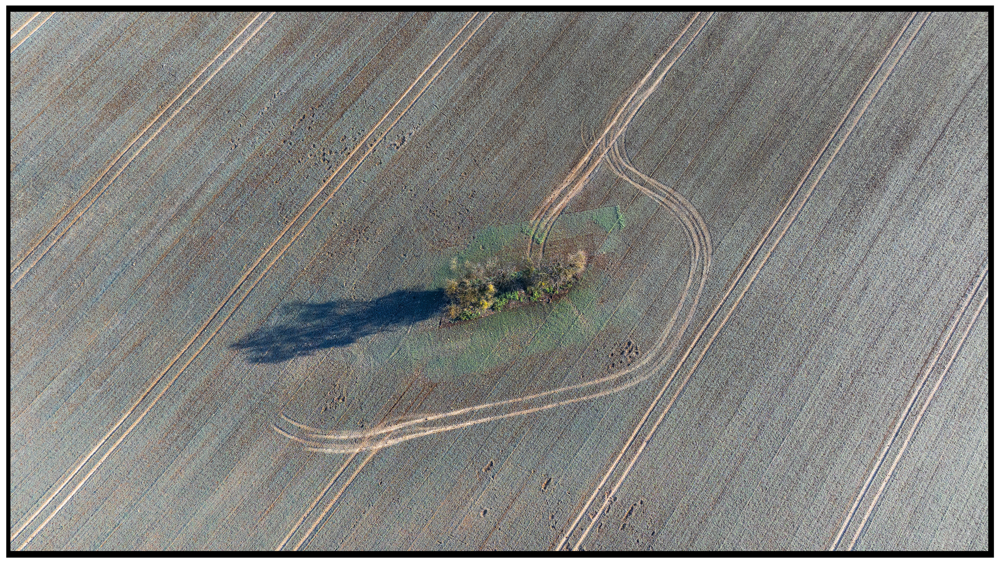 Le tracé de l'agriculteur pour préserver l'ilot abritant la faune