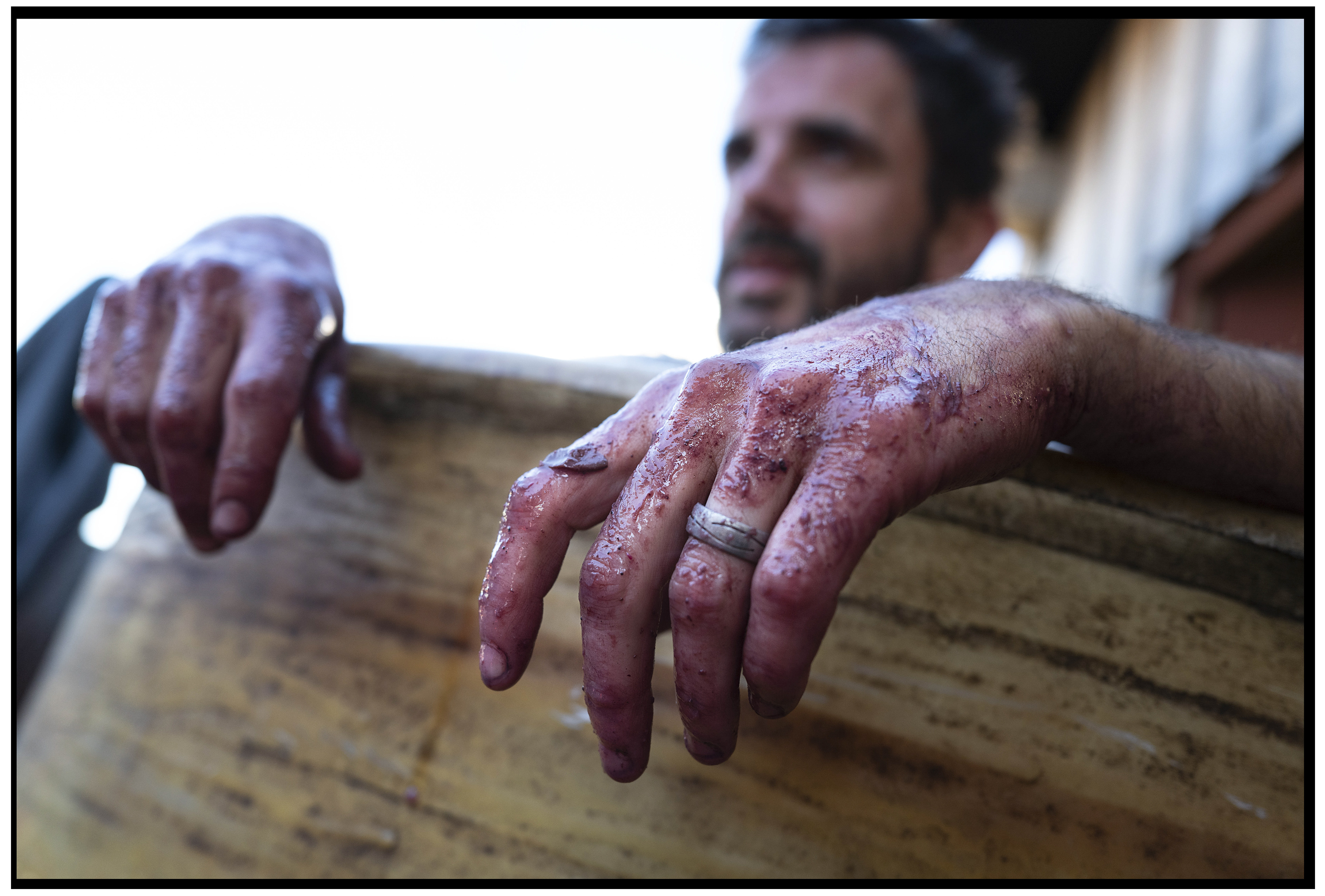 En arrière-plan flou, un vigneron avec les mains rouges de raisin pressé, témoignant de l’effort intense et du contact direct avec le fruit fraîchement récolté.