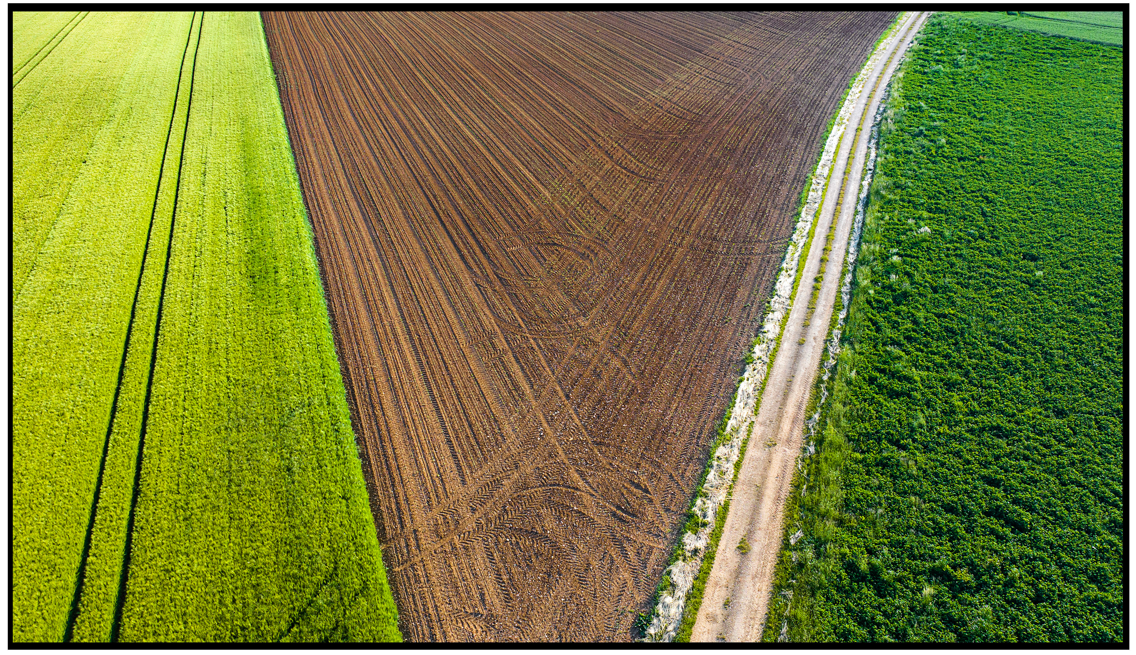 Vue aérienne des chemins de Haute-Saône croisant la Via Francigena, traçant des routes historiques à travers les champs.
