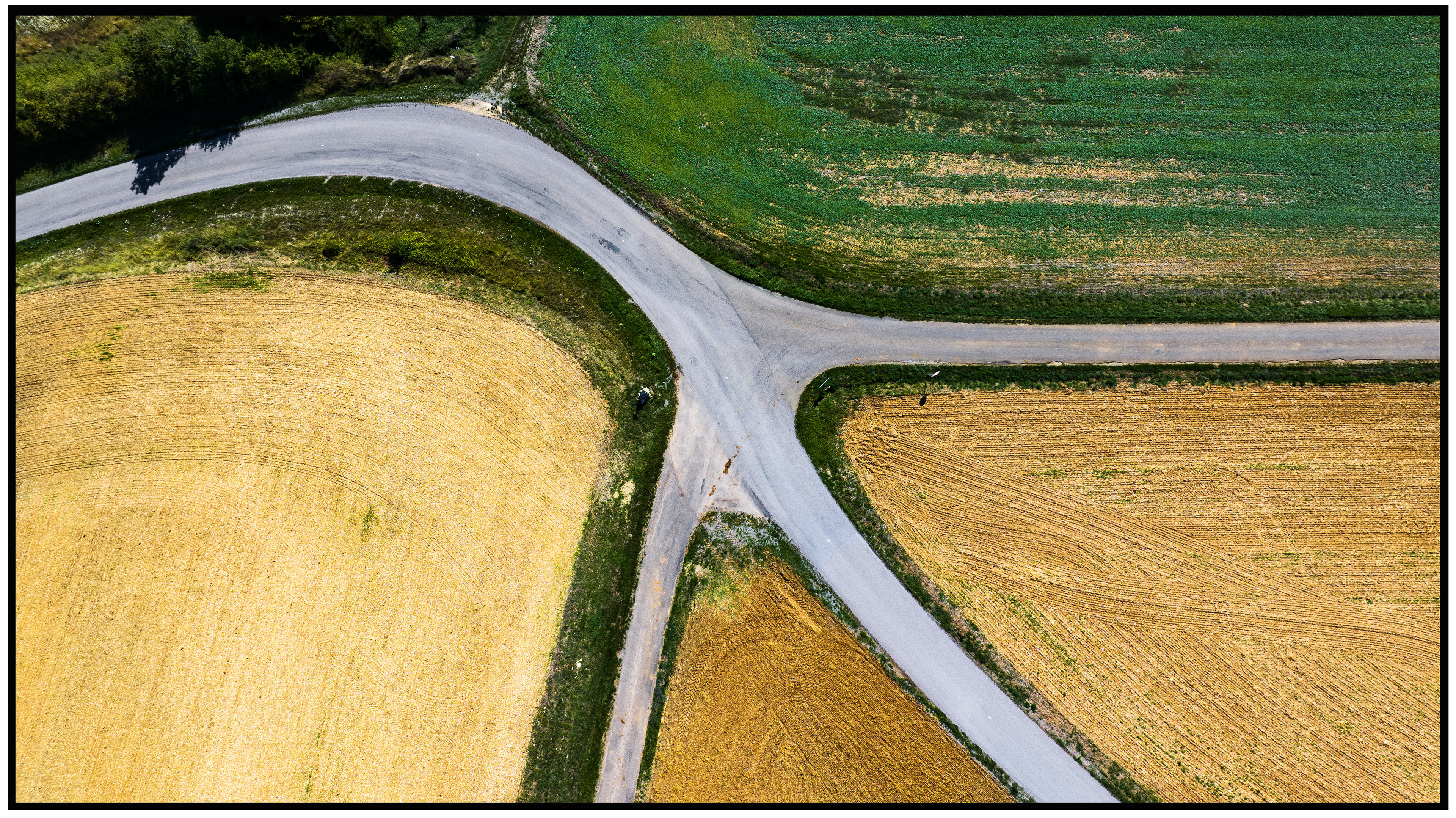 Une route en courbe parfaitement tracée suit les champs, illustrant l’harmonie entre l’infrastructure humaine et le paysage.