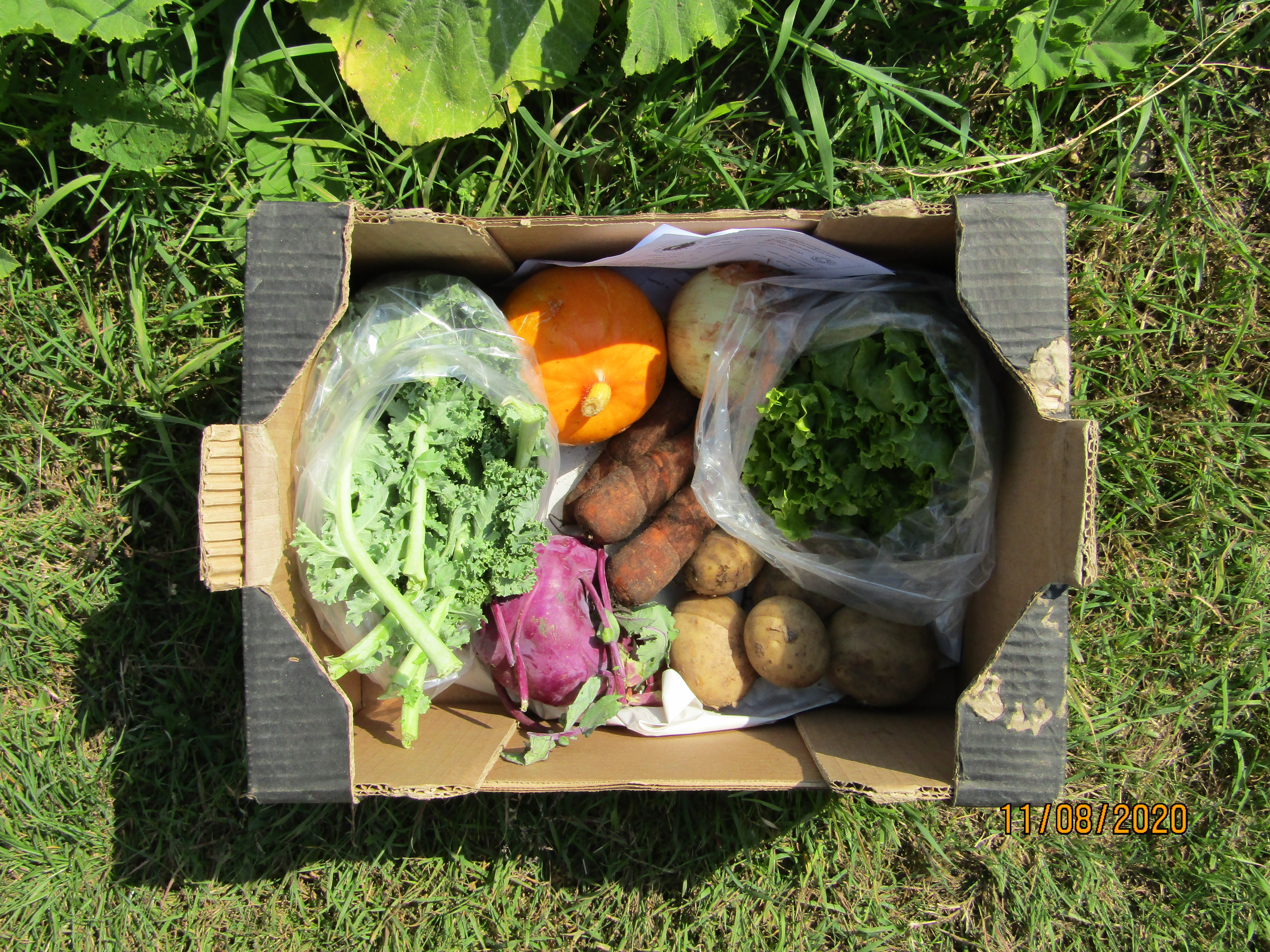 Product Imagery - Medium Veg Box