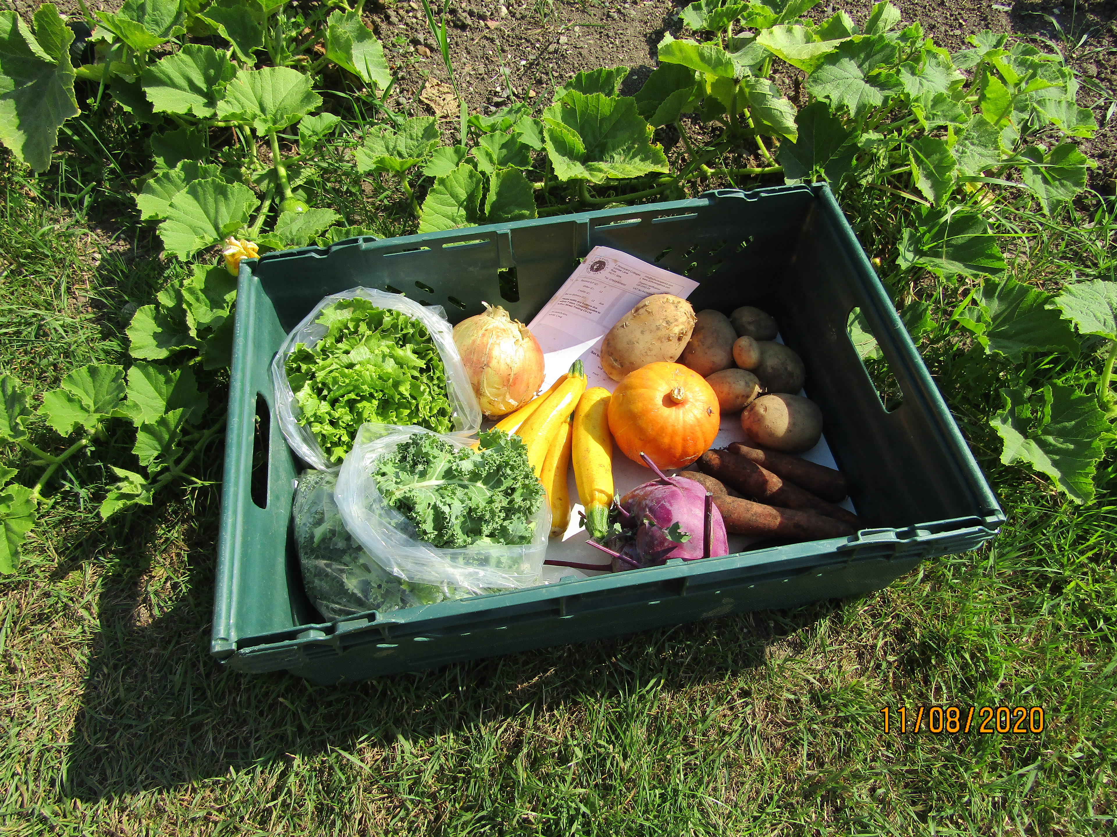 Product Imagery - Large Veg Box