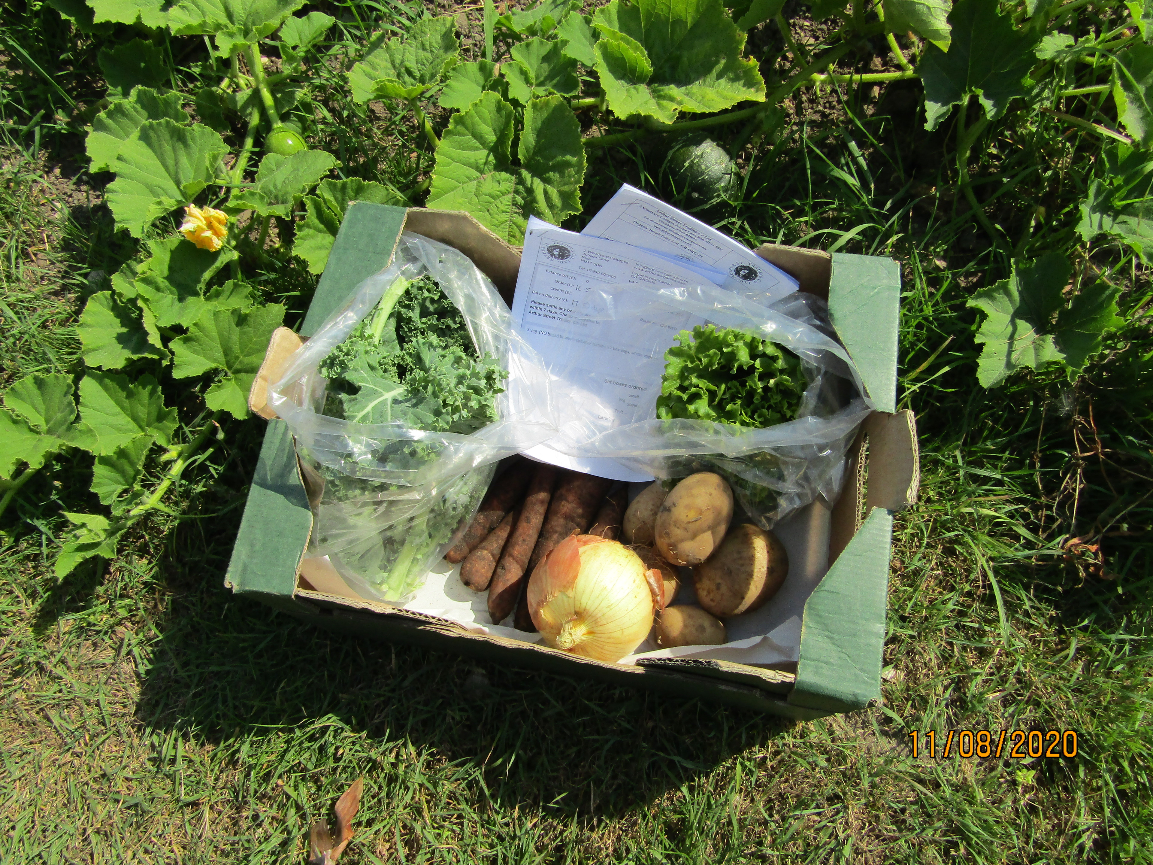 Product Imagery - Small Veg Box