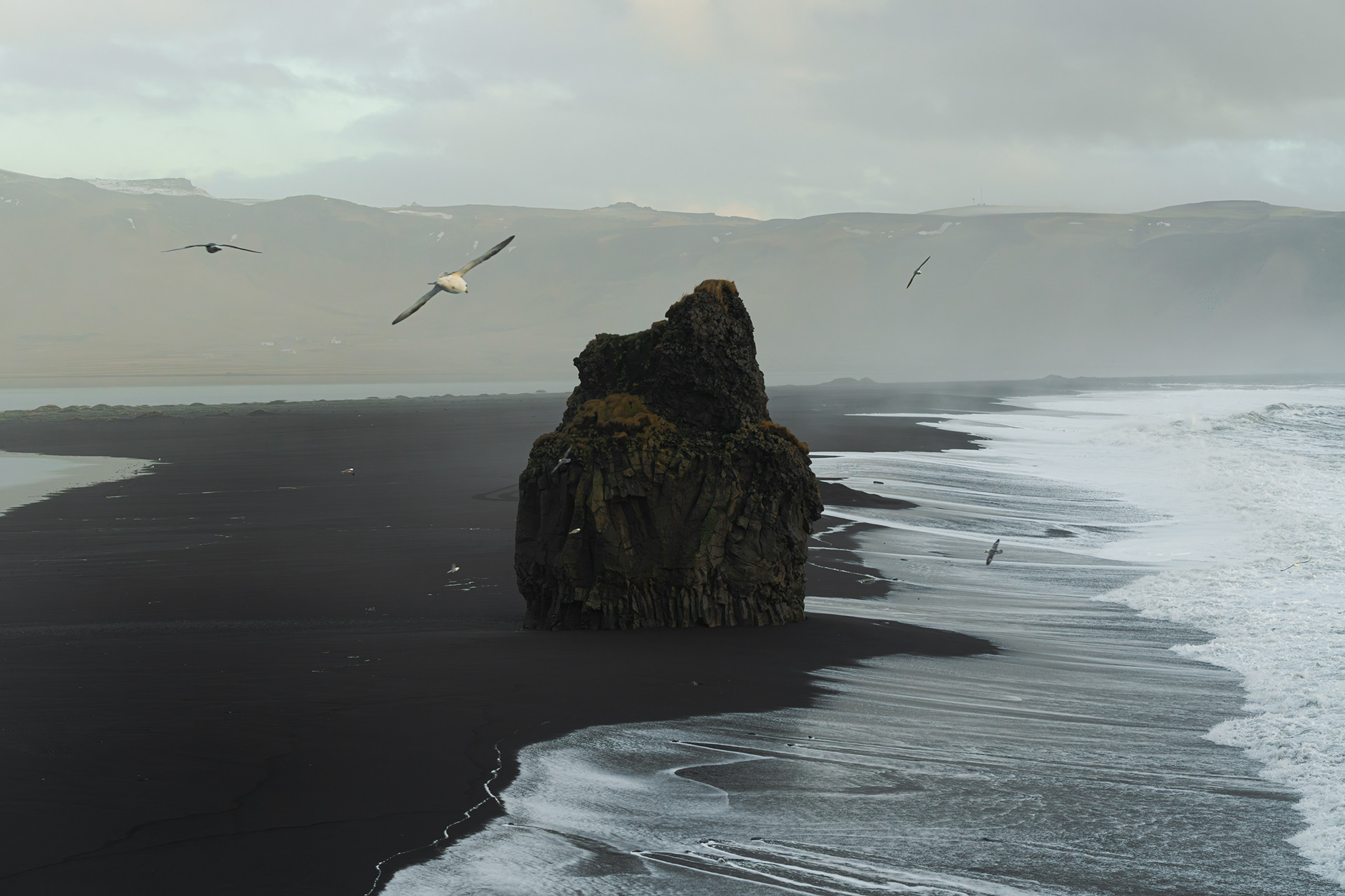 Fine art landscape photograph taken from the top of Dyrhólaey cliffs, looking across to the black sand beach of Reynisfjara, Iceland. A massive, textured volcanic sea stack stands prominently in the foreground on the dark sand, with powerful white Atlantic waves crashing against the shore. Several birds fly around the stack, adding dynamic contrast against the layered, moody coastal mountains in the background under an overcast sky.