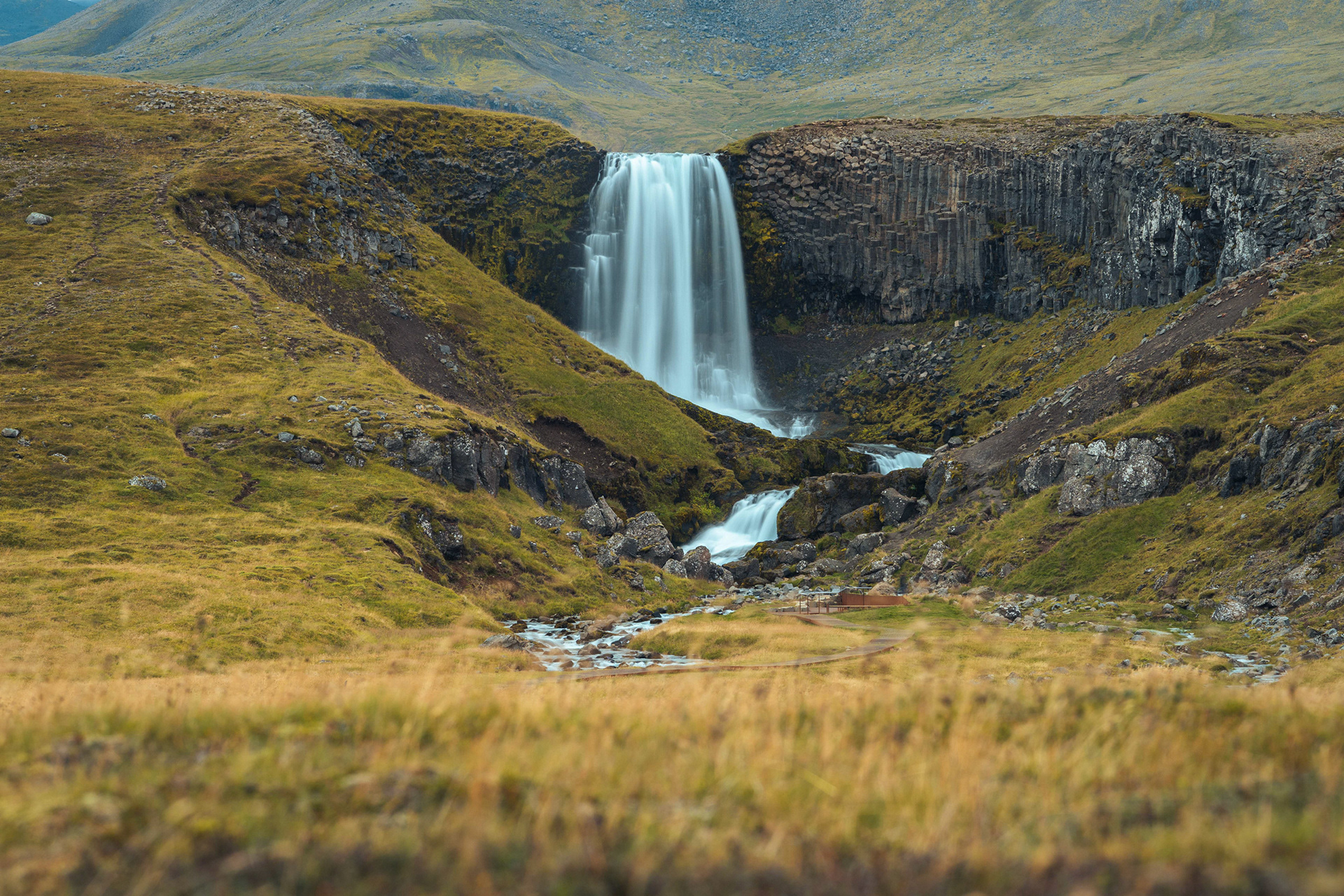 "A breathtaking long-exposure landscape photograph of Svöðufoss waterfall in the Snæfellsnes Peninsula, Iceland. The image showcases the silky white water falling over a dramatic wall of geometric basalt columns, surrounded by lush green and golden tundra. The foreground is softly blurred with golden autumn grass, leading the viewer's eye toward the majestic falls and the rugged volcanic mountains in the background. This shot represents the intersection of raw geological power and the serene beauty of the Icelandic highlands.